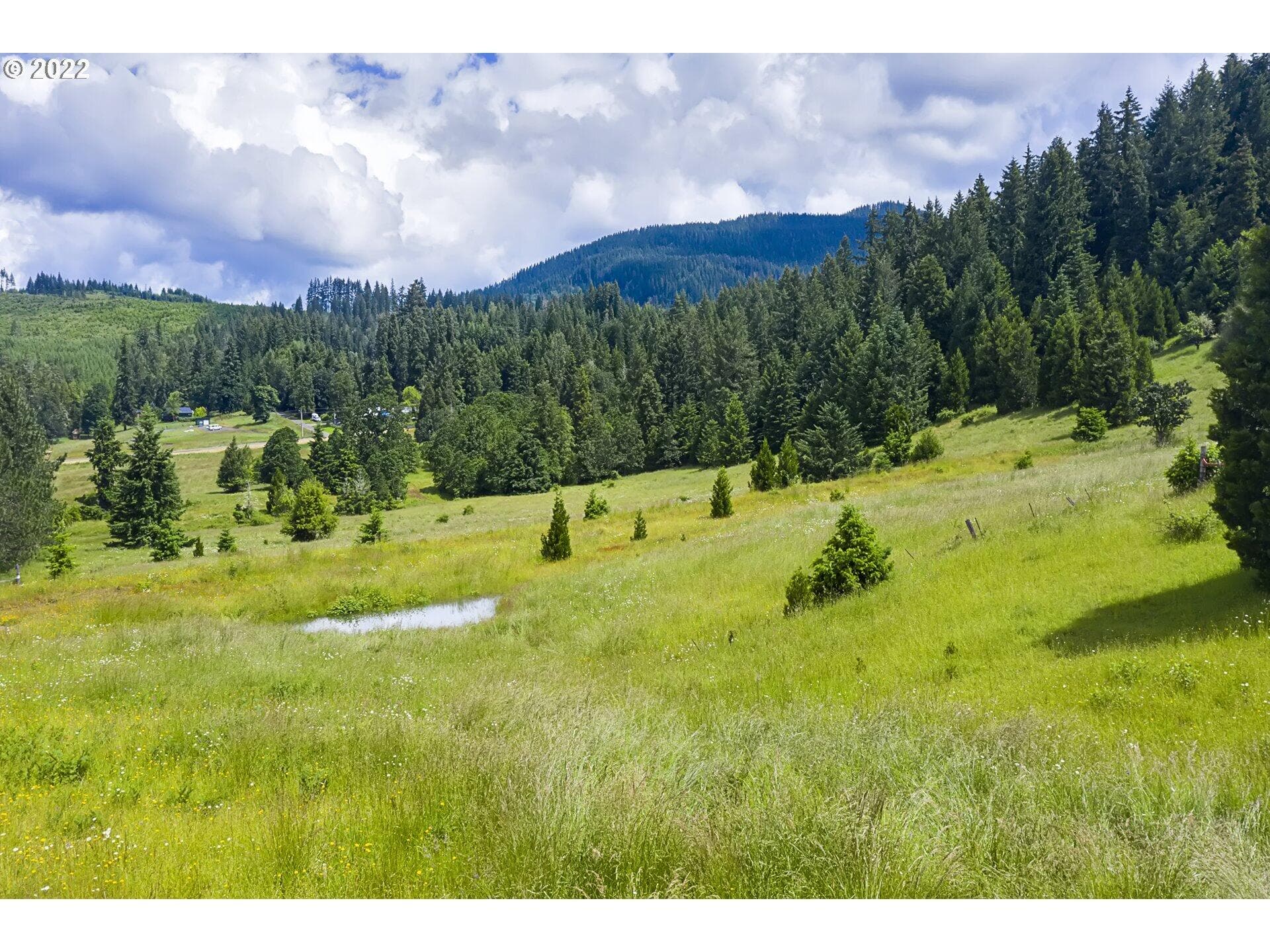 22227729-7. Photo 5 of 7, Bugle Loop Unit TL 1304, Oakridge, OR 97463