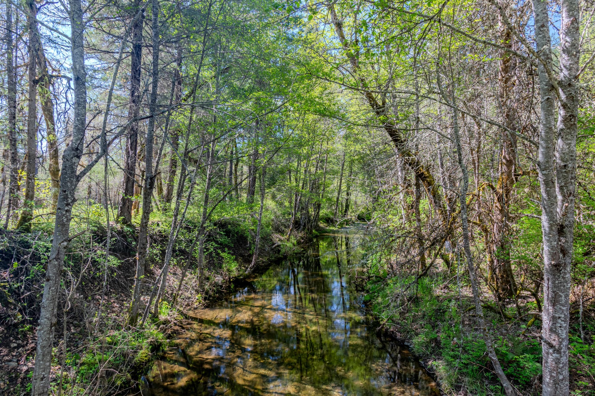 Creek. Photo 2 of 14, 23112 E Evans Creek Road, Central Point, OR 97502