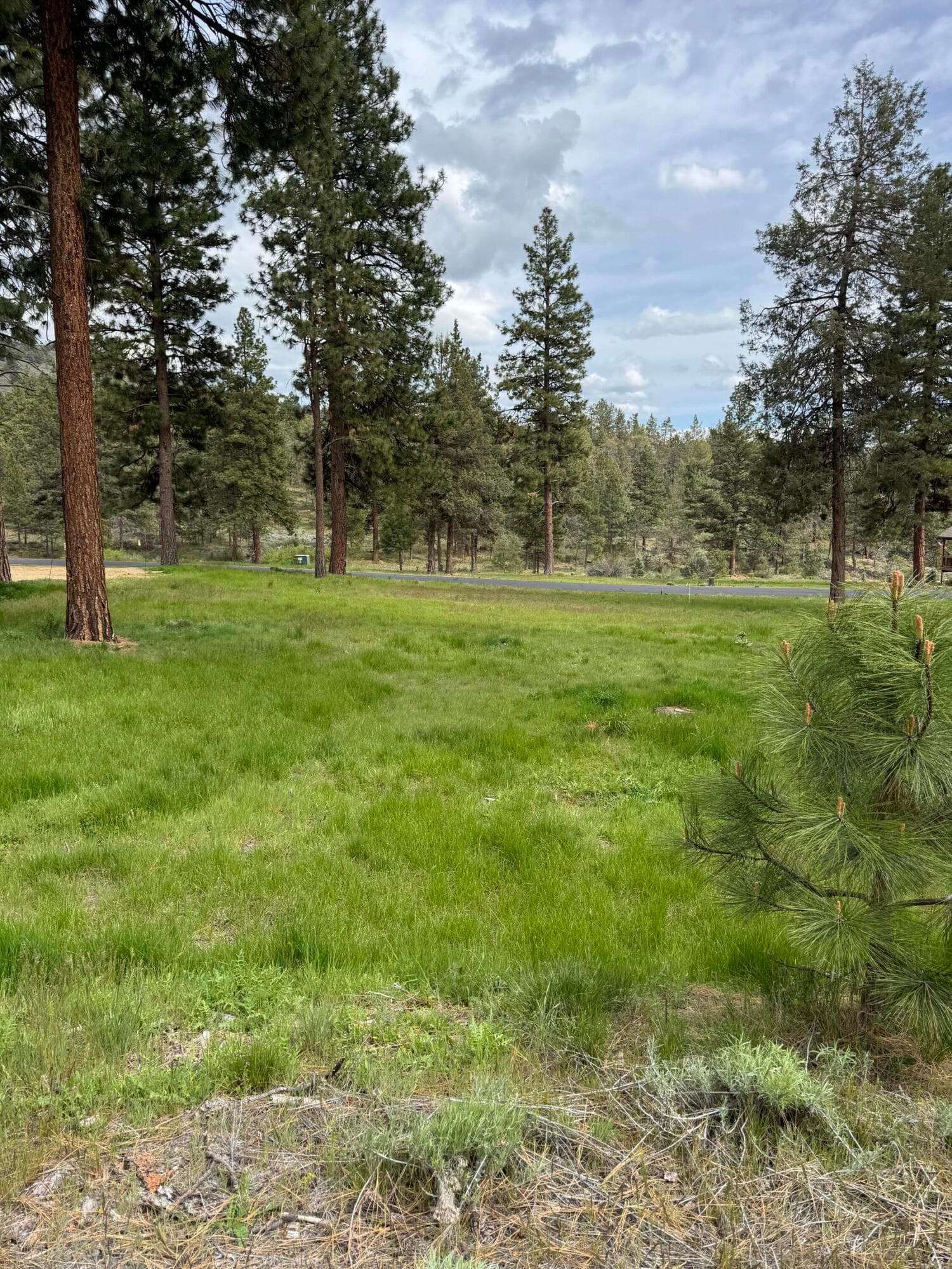 3. Photo 3 of 5, 1075 Timber Ridge Loop, Klamath Falls, OR 97601
