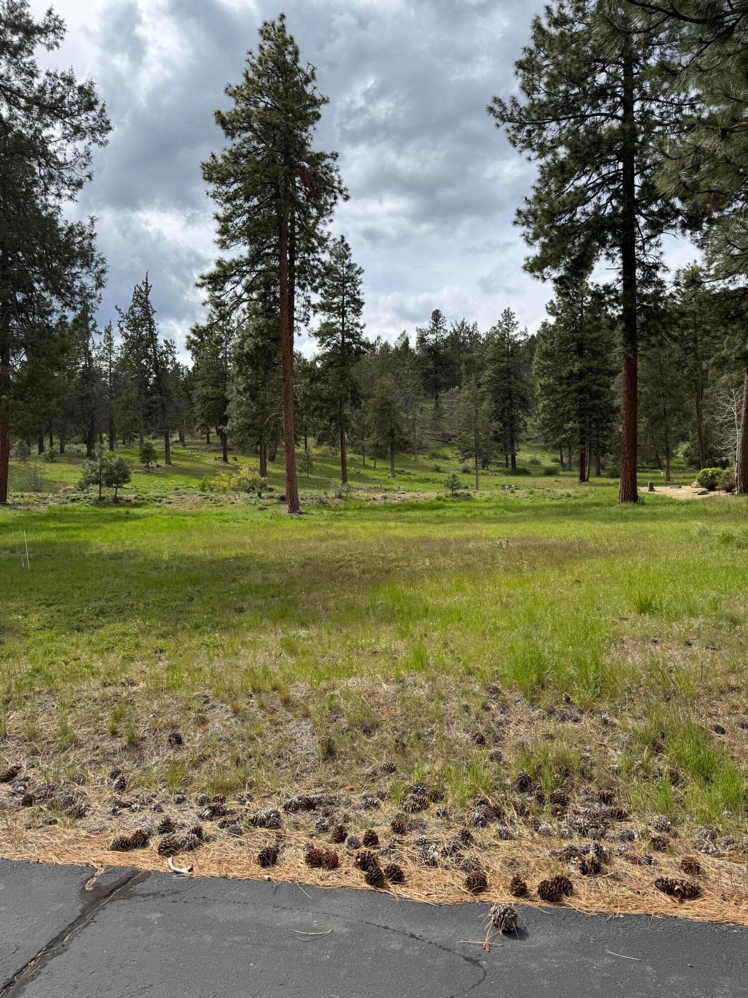 4. Photo 4 of 5, 1075 Timber Ridge Loop, Klamath Falls, OR 97601