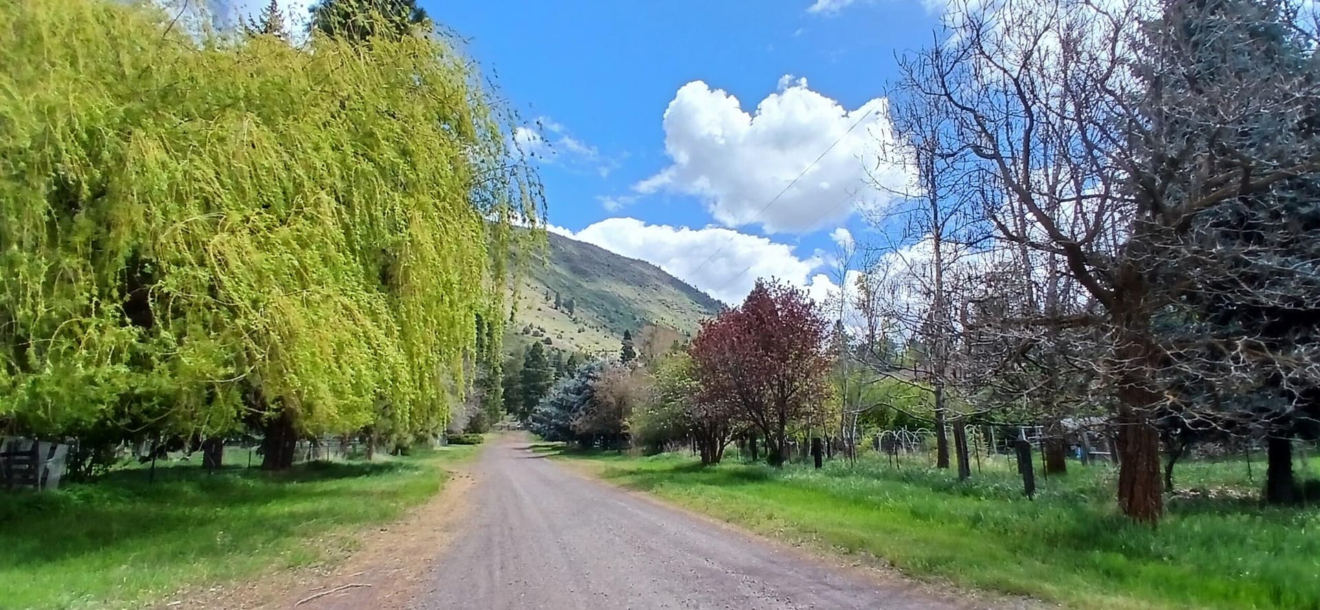 1. Photo 1 of 13, 0 Elderberry Ln Way, Klamath Falls, OR 97601