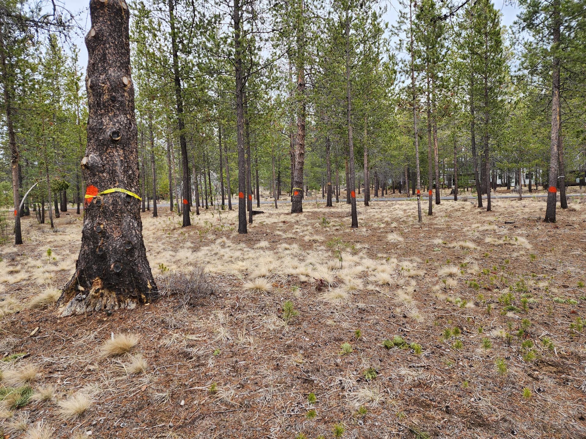 20230417_134055. Photo 3 of 4, 57626 Cultus Lane, Sunriver, OR 97707