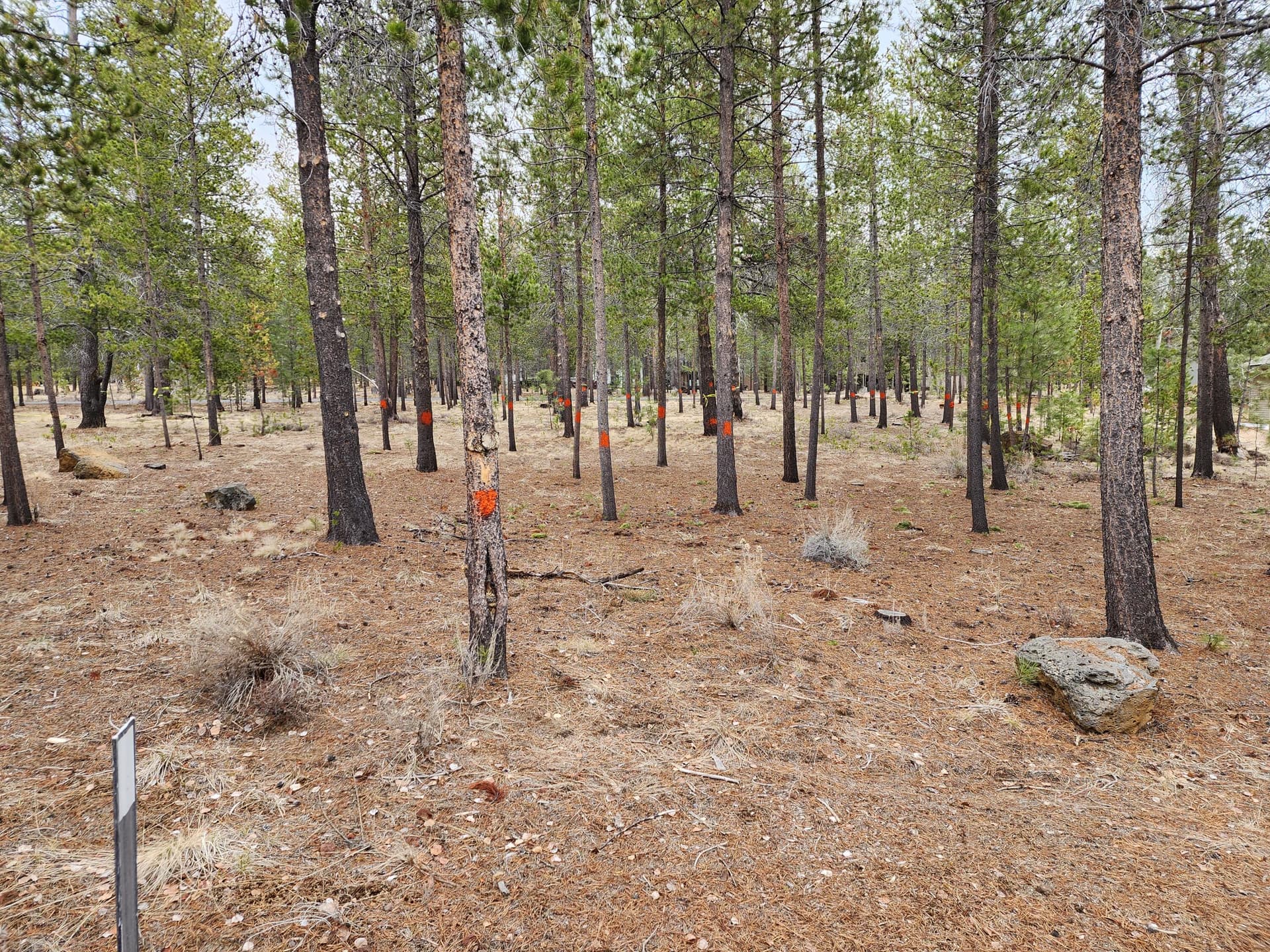20230417_133943. Photo 4 of 4, 57626 Cultus Lane, Sunriver, OR 97707