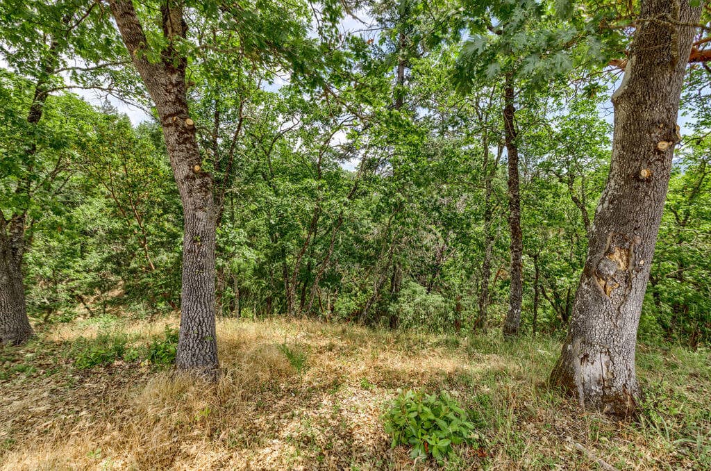 NRL(4). Photo 5 of 11, 166 NW Native Run Loop, Grants Pass, OR 97526