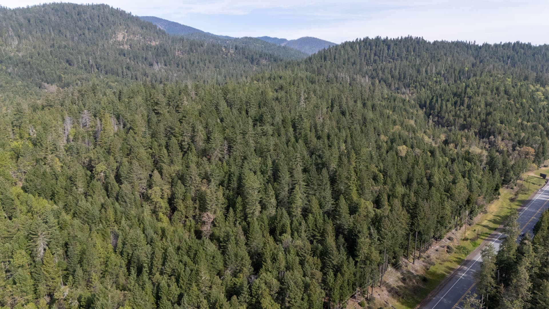 DJI_20260407101225_0560_D-HDR. Photo 3 of 9, Redwood Highway Unit 201, Selma, OR 97538