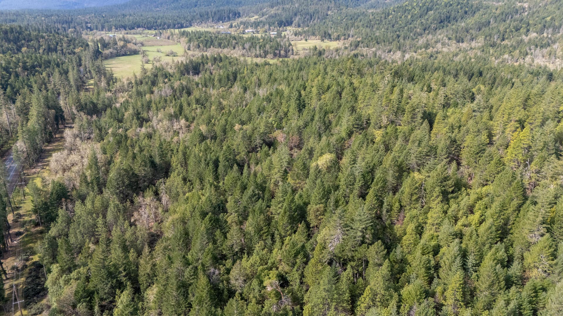 DJI_20260407102223_0615_D-HDR. Photo 4 of 9, Redwood Highway Unit 201, Selma, OR 97538