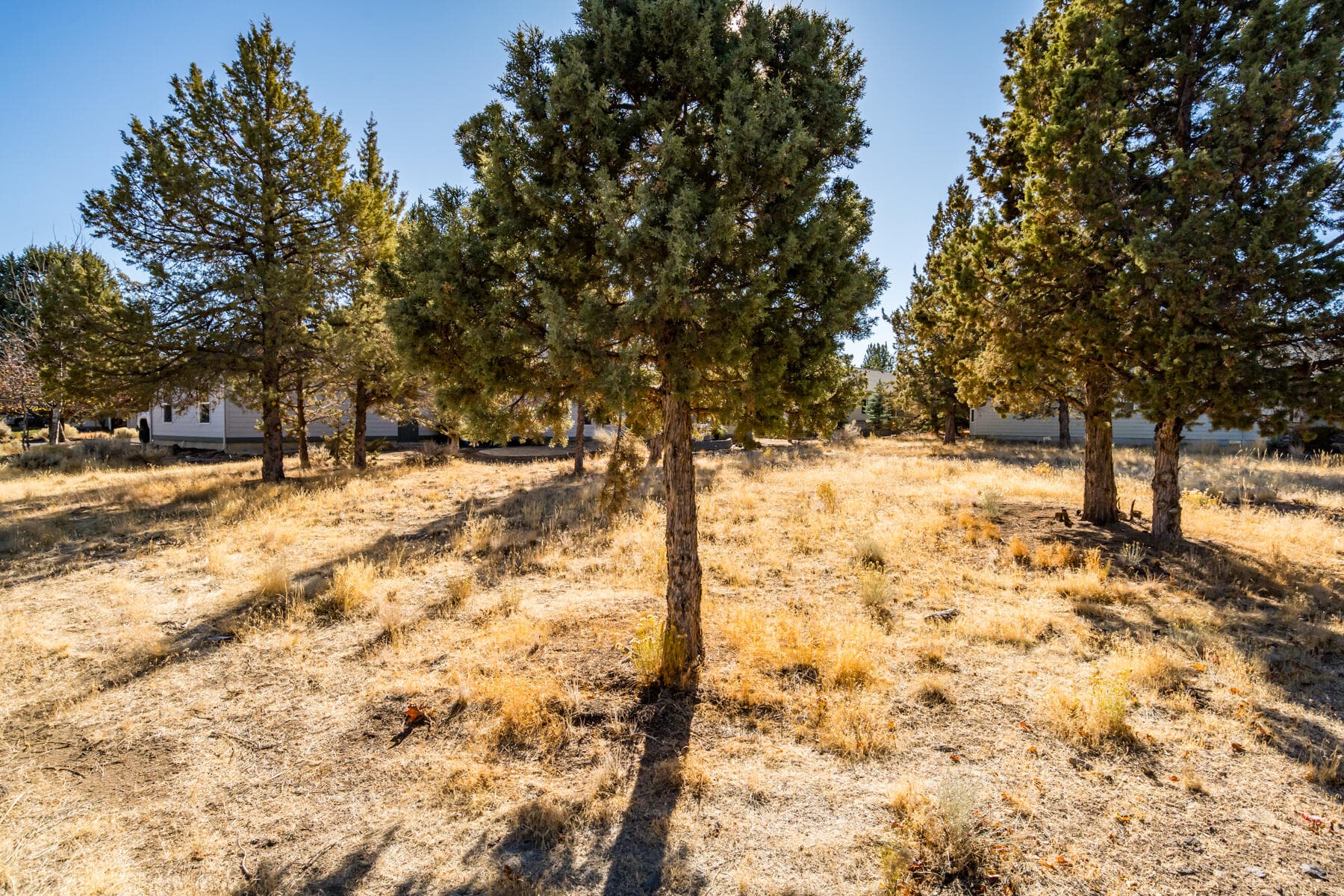JH5_1143. Photo 5 of 19, 830 Willet Lane, Redmond, OR 97756