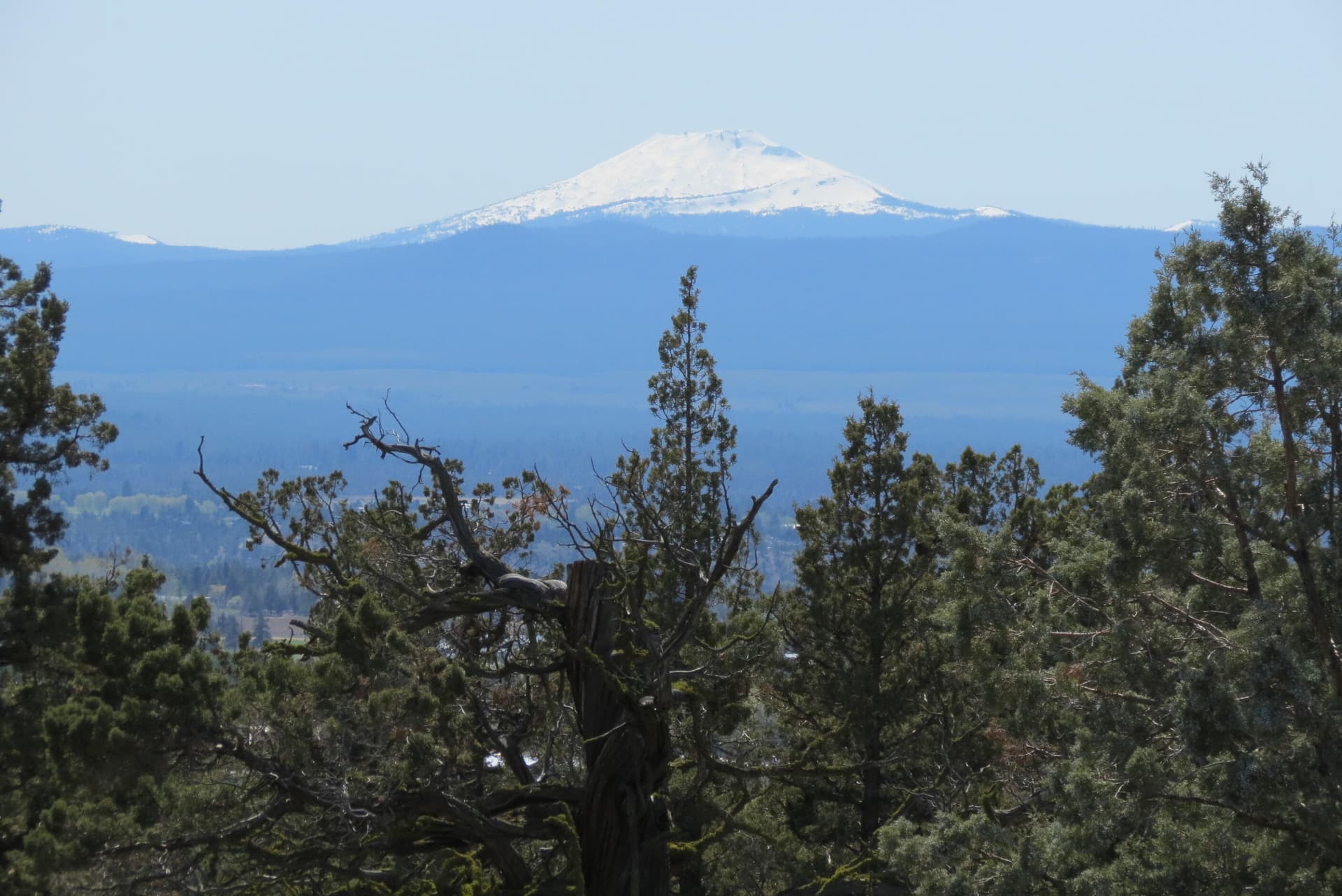 IMG_7996. Photo 1 of 18, 20985 Limestone Avenue Unit 8, Bend, OR 97703