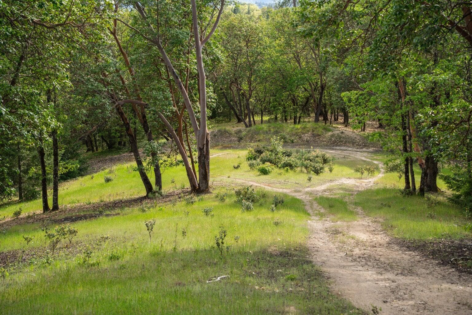 2:5. Photo 2 of 21, 448 Adams Way, Grants Pass, OR 97526