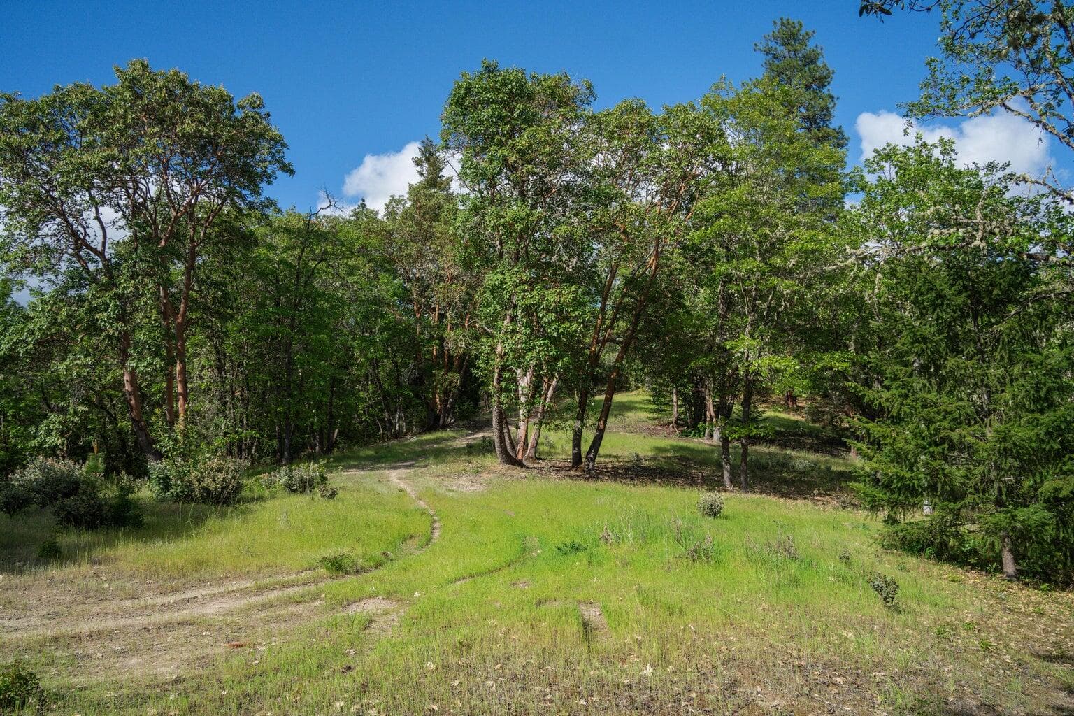5:5. Photo 5 of 21, 448 Adams Way, Grants Pass, OR 97526
