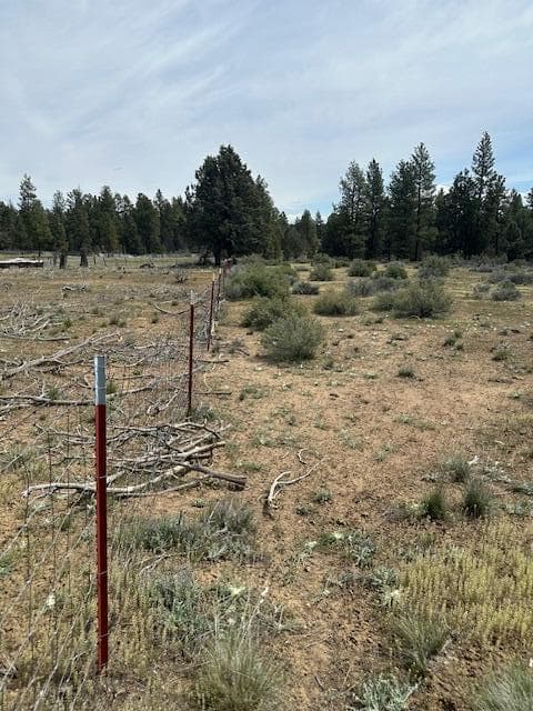 IMG_9876. Photo 4 of 16, 0 Mountain Mahogany Lane Unit Lot 24, Sprague River, OR 97639