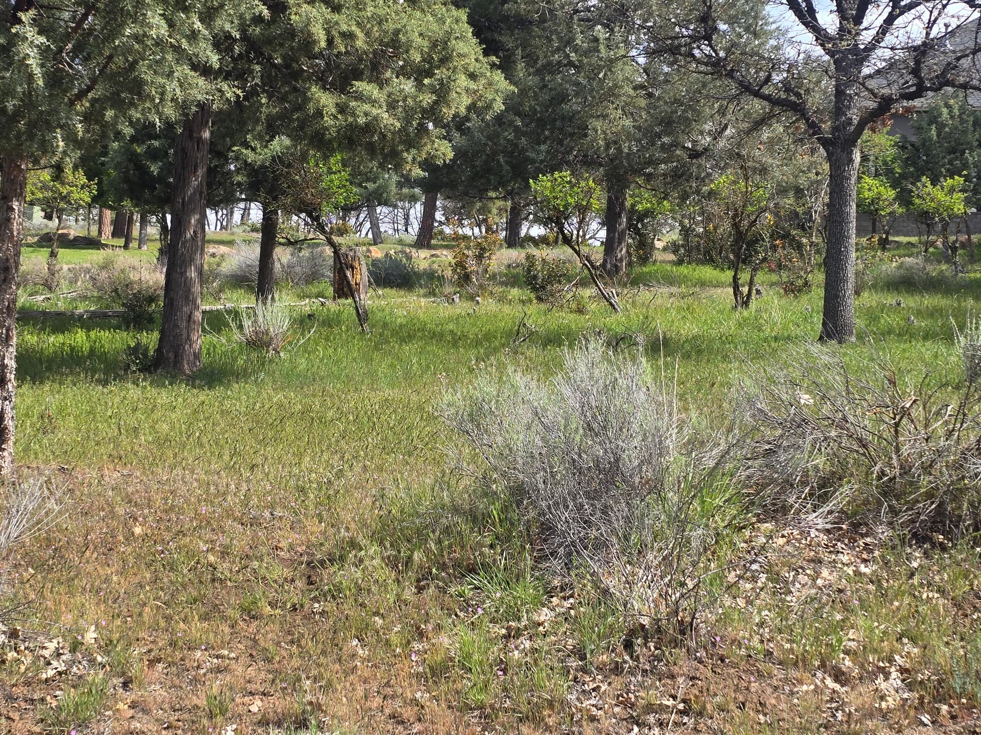 20260430_104332. Photo 1 of 4, Kestrel Road Unit 12, Klamath Falls, OR 97601