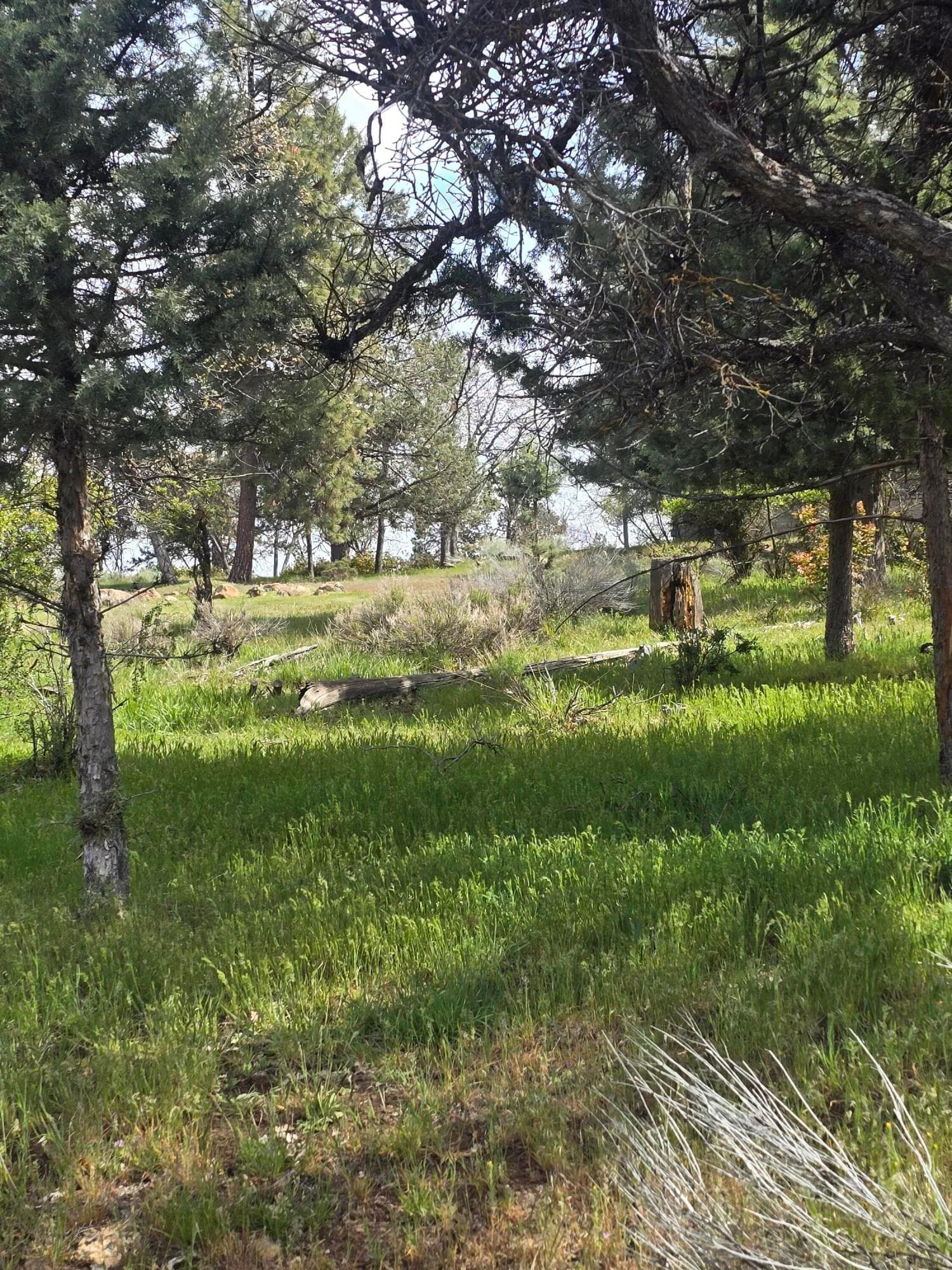 20260430_104246. Photo 3 of 4, Kestrel Road Unit 12, Klamath Falls, OR 97601