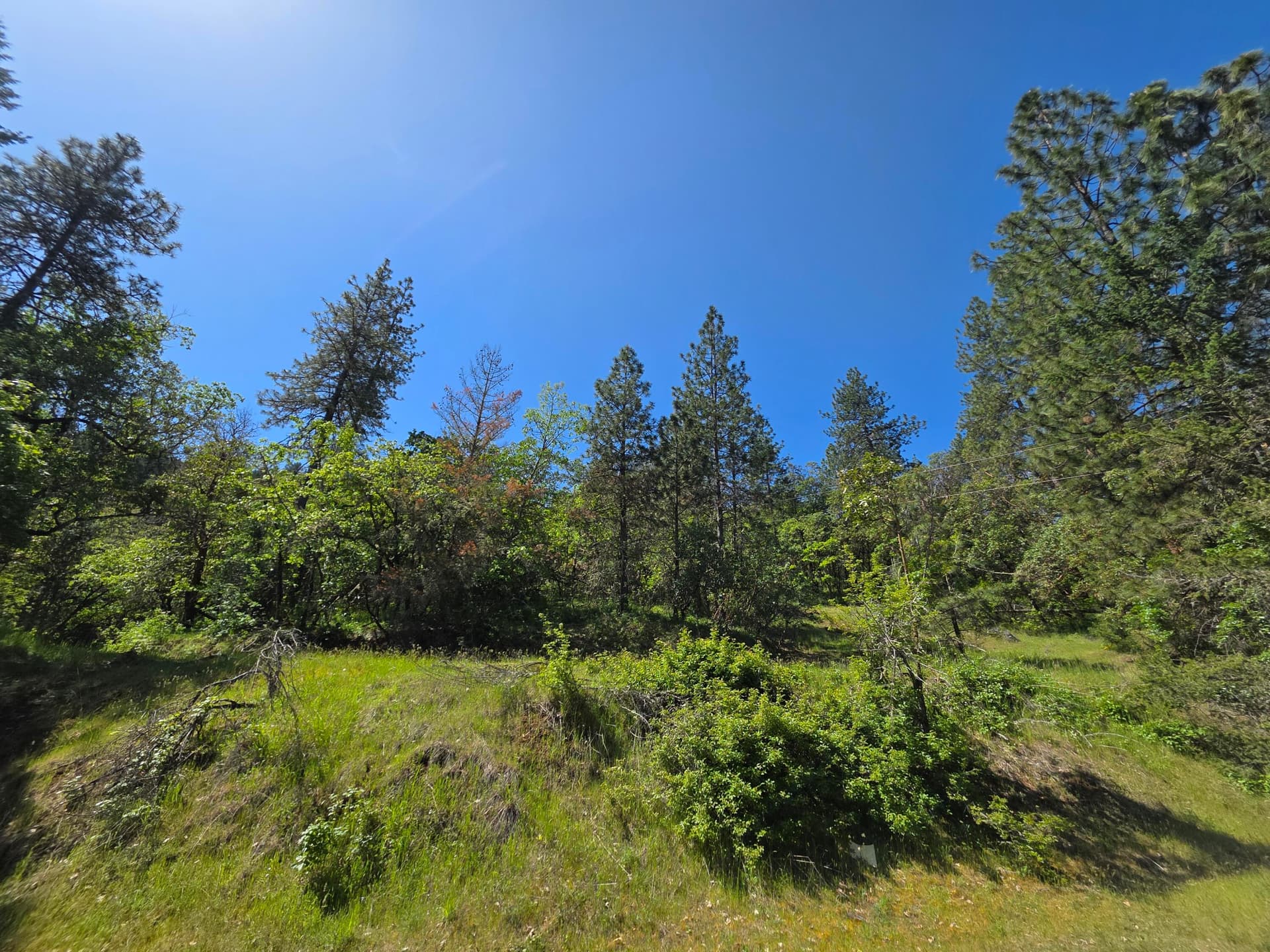 Picture 2. Photo 2 of 22, Knowles Road, Medford, OR 97501