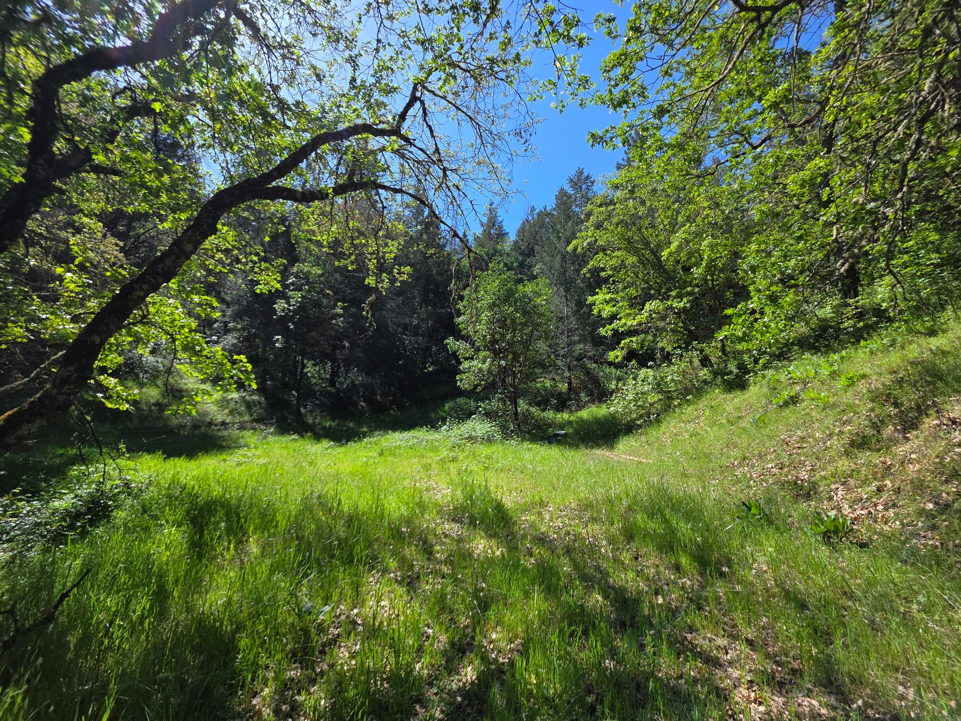 Picture 3. Photo 3 of 22, Knowles Road, Medford, OR 97501