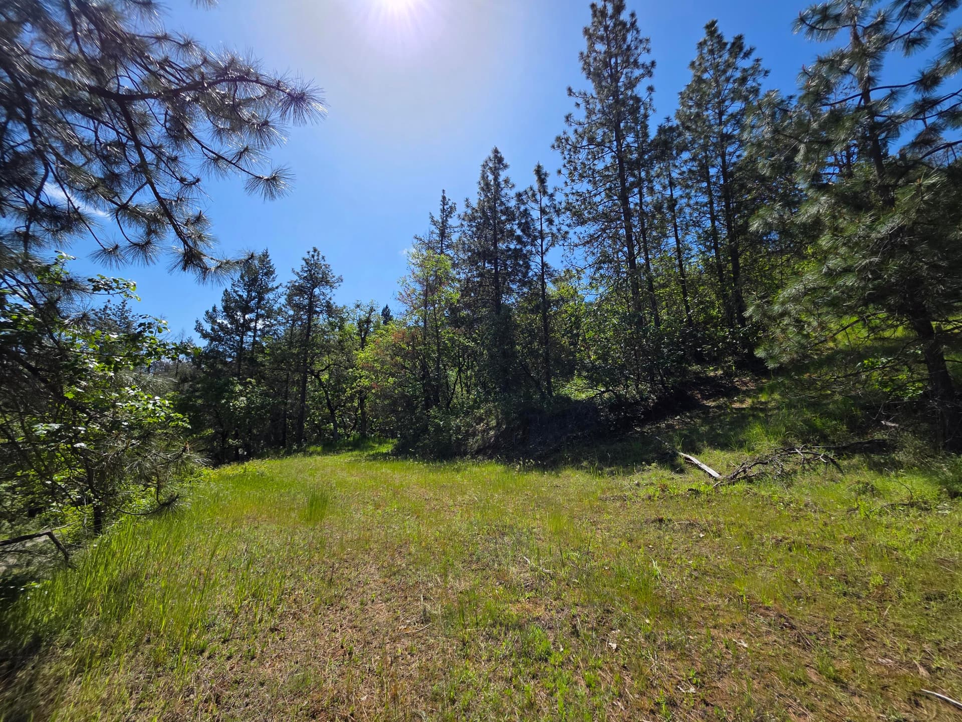 Picture 4. Photo 4 of 22, Knowles Road, Medford, OR 97501