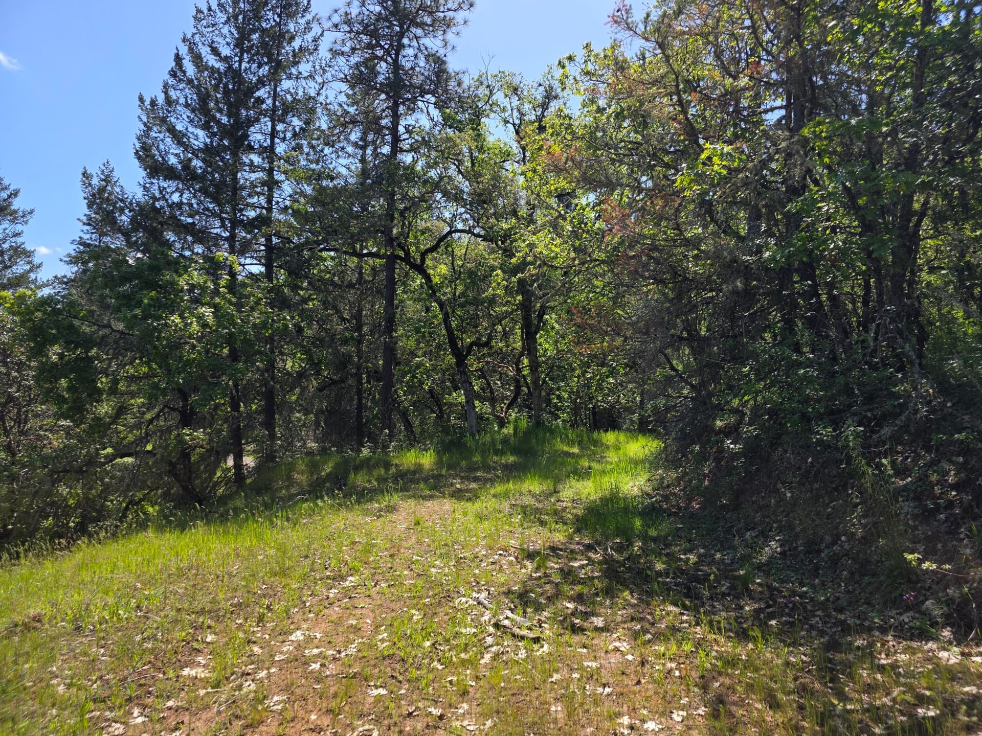 Picture 5. Photo 5 of 22, Knowles Road, Medford, OR 97501