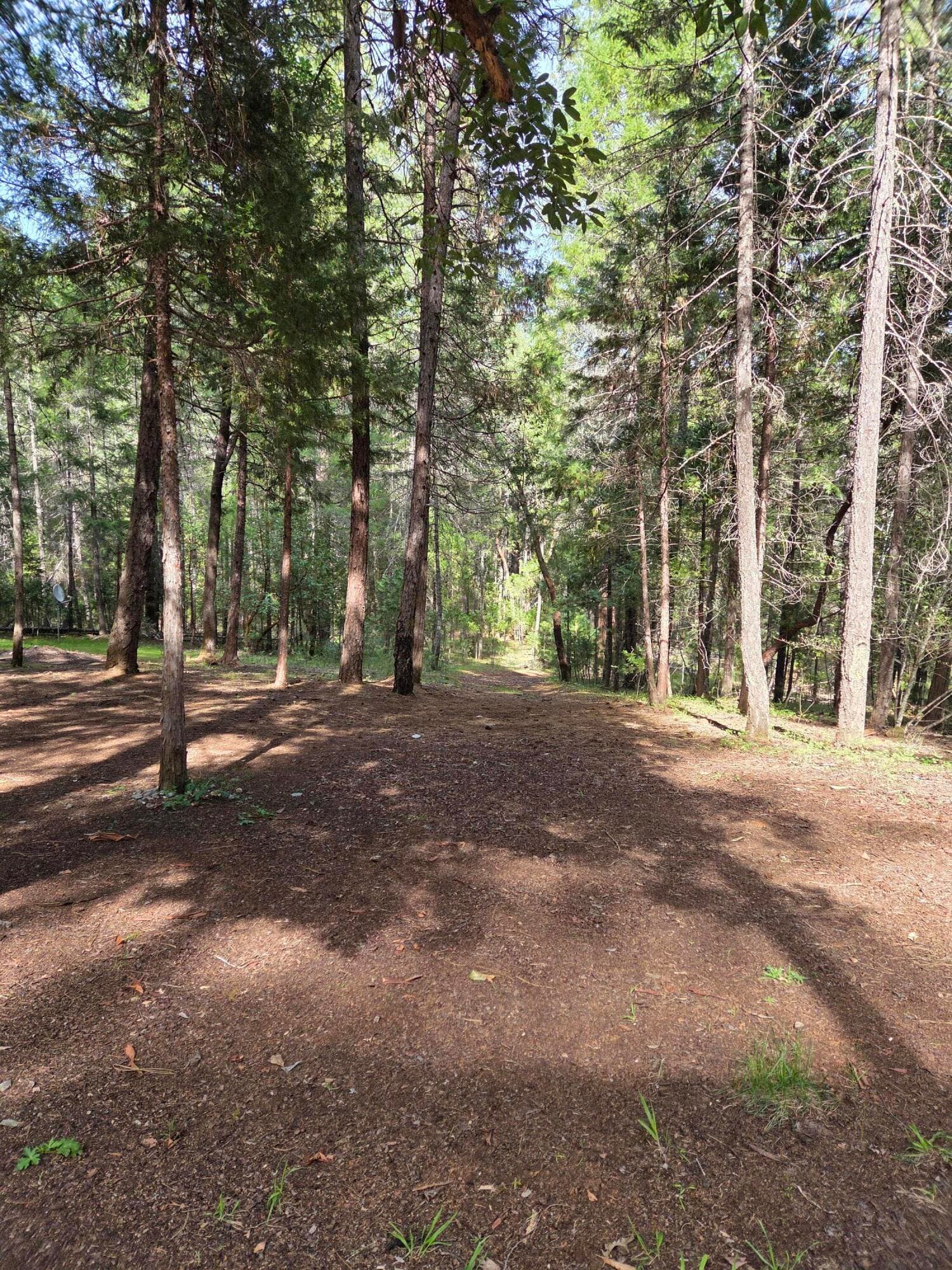7691. Photo 5 of 36, 3760 Pleasant Creek Road, Rogue River, OR 97537