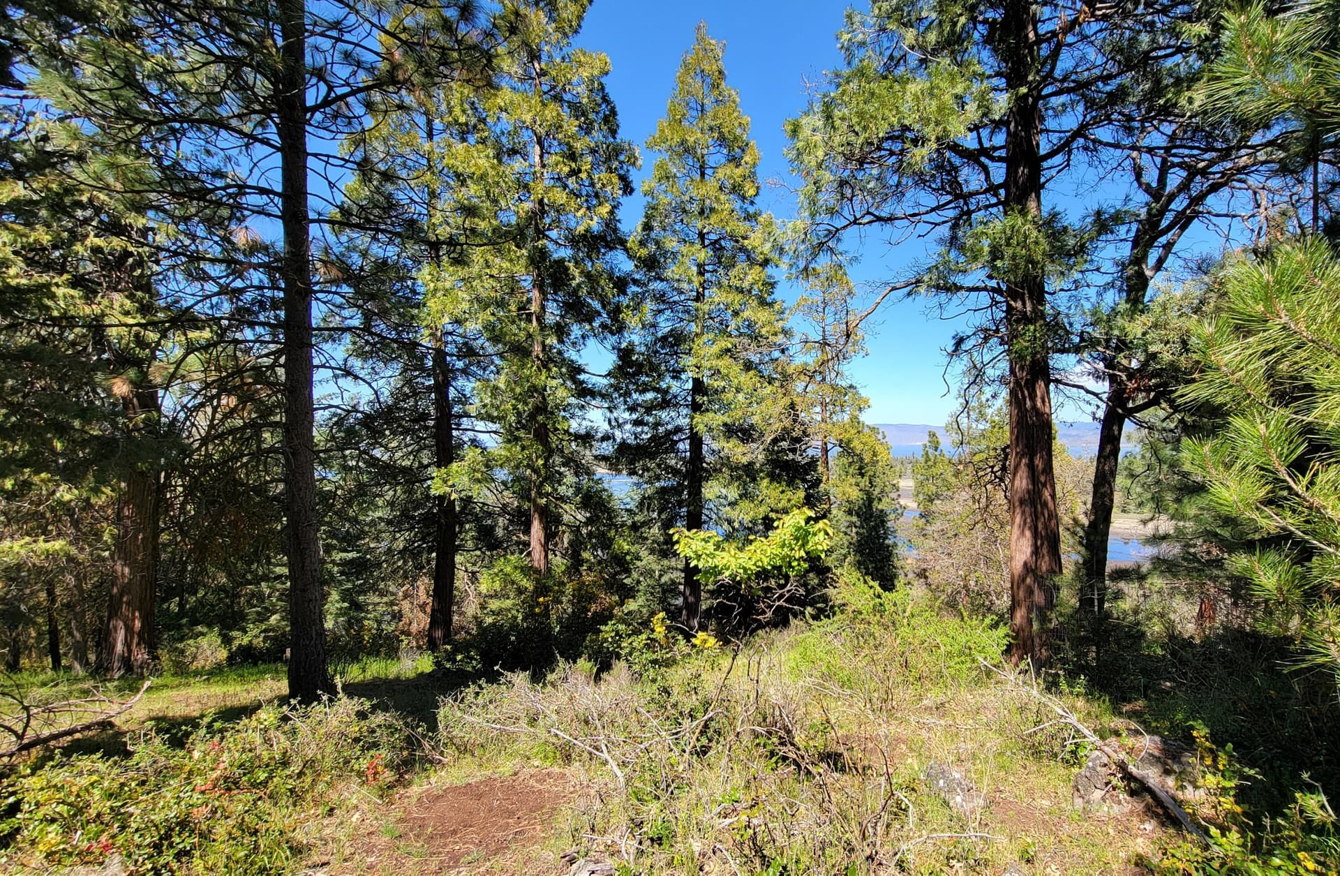 20260429_142141. Photo 5 of 11, 0 Kestrel Road Unit Lot 174, Klamath Falls, OR 97601
