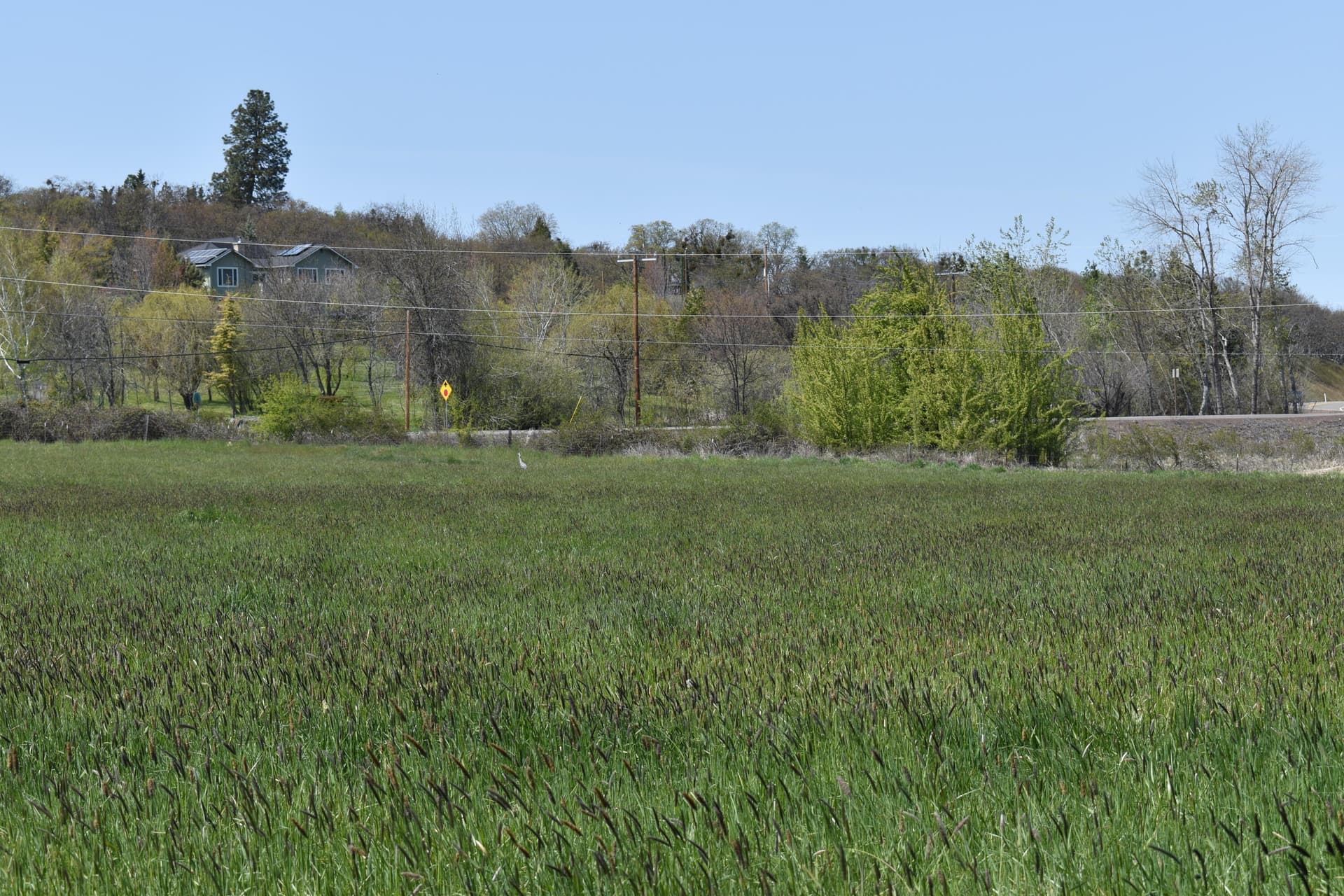 DSC_0454. Photo 5 of 15, 0 Old Highway 99, Ashland, OR 97520