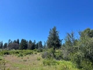 1046-3. Photo 3 of 15, 0 Crossbill Drive Unit Lot 1046, Klamath Falls, OR 97601