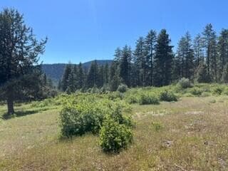 1046-8. Photo 4 of 15, 0 Crossbill Drive Unit Lot 1046, Klamath Falls, OR 97601