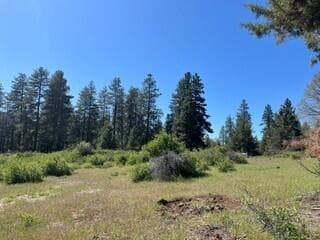 1046-10. Photo 5 of 15, 0 Crossbill Drive Unit Lot 1046, Klamath Falls, OR 97601