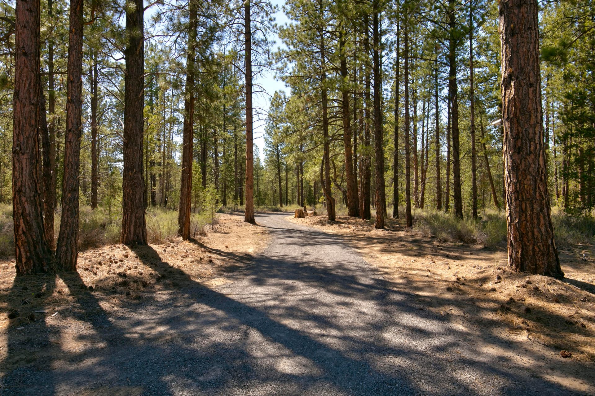 01. Photo 1 of 20, 50750 Deer Forest Drive, La Pine, OR 97739
