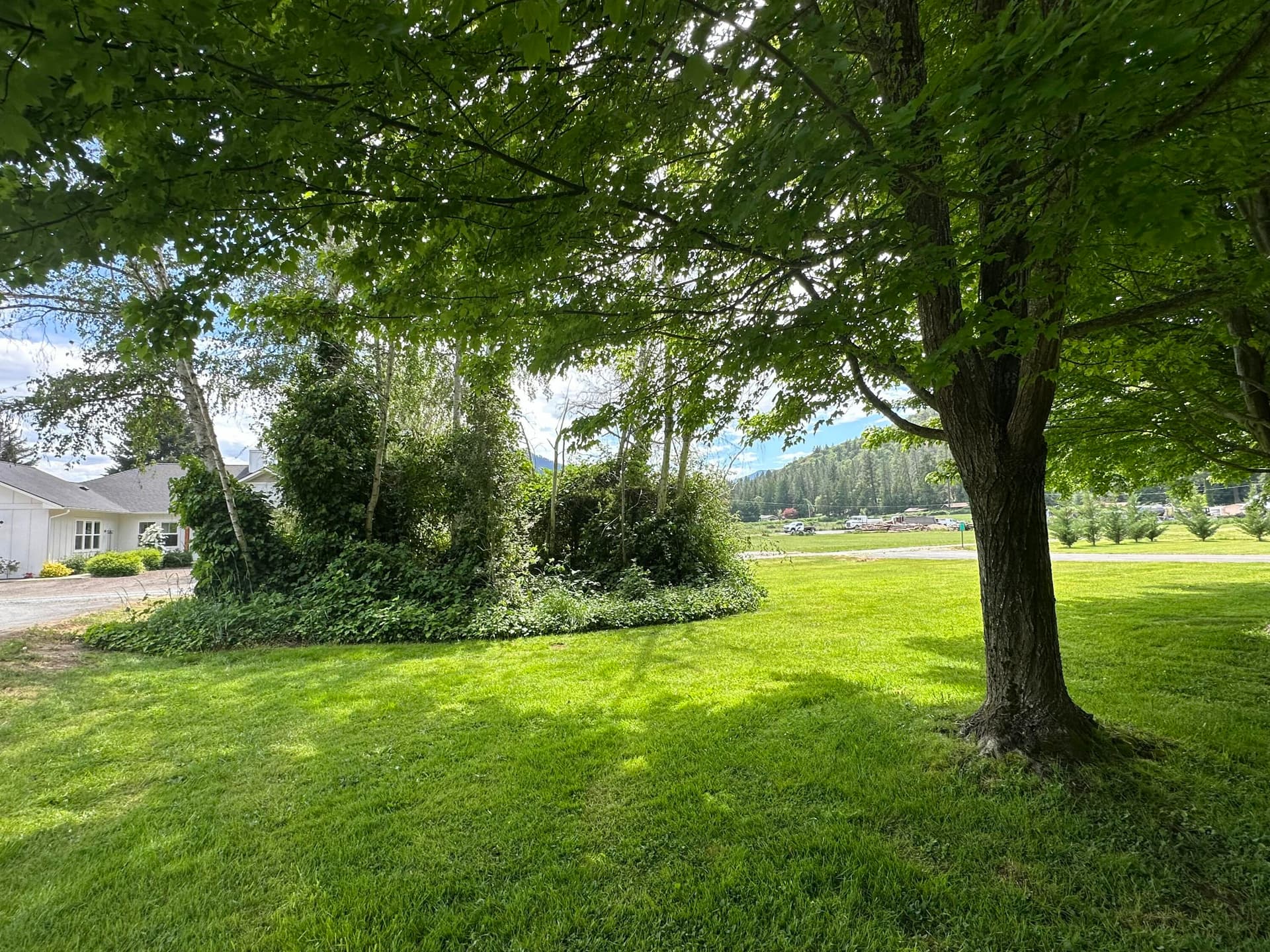 Lovely Front Yard. Photo 4 of 51, 753 W Evans Creek Road, Rogue River, OR 97537