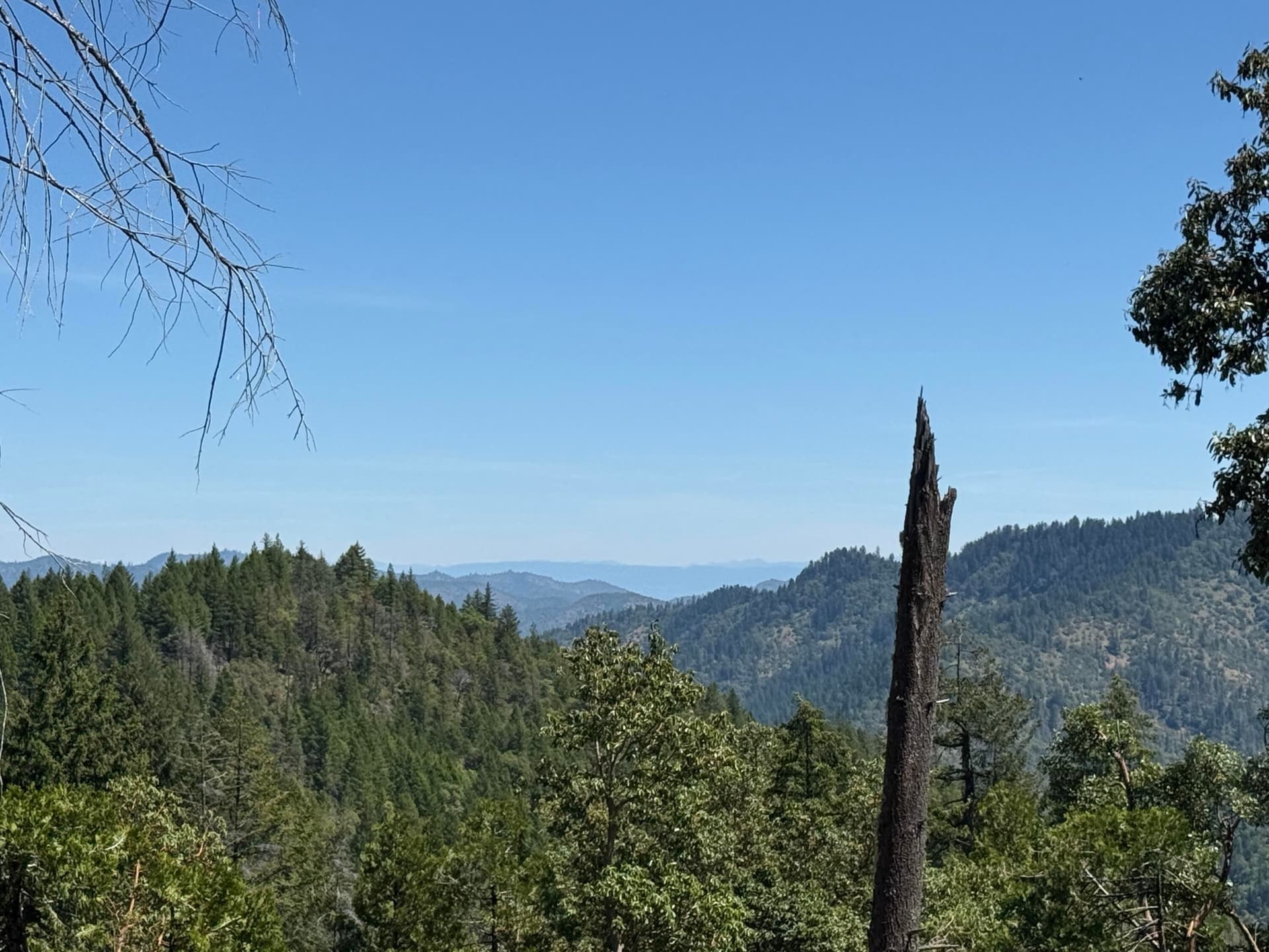 IMG_3547. Photo 1 of 17, 0 Savage Creek Unit TL400, Grants Pass, OR 97527