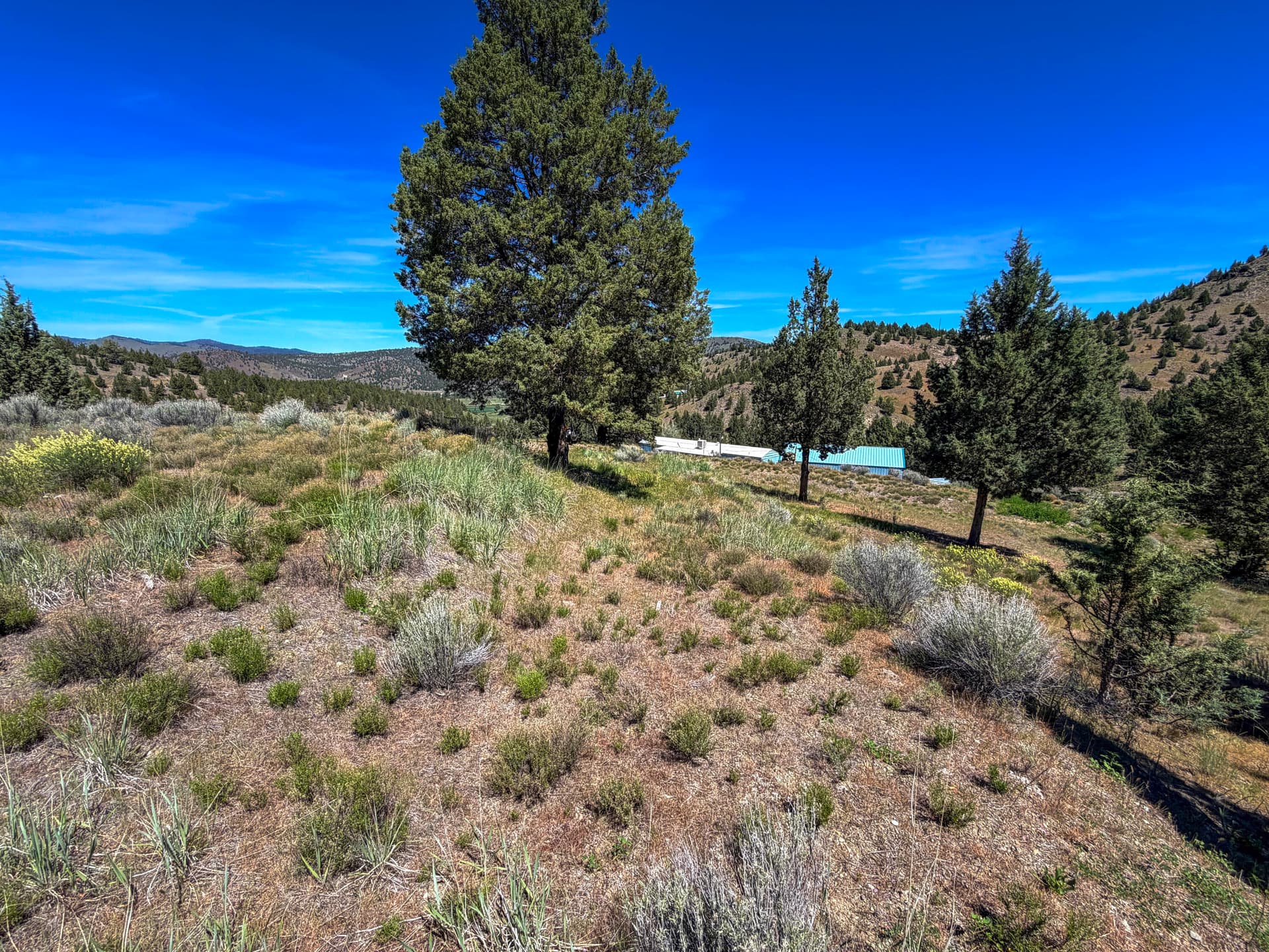 17-IMG_6771. Photo 4 of 19, Luce Creek Road, John Day, OR 97845