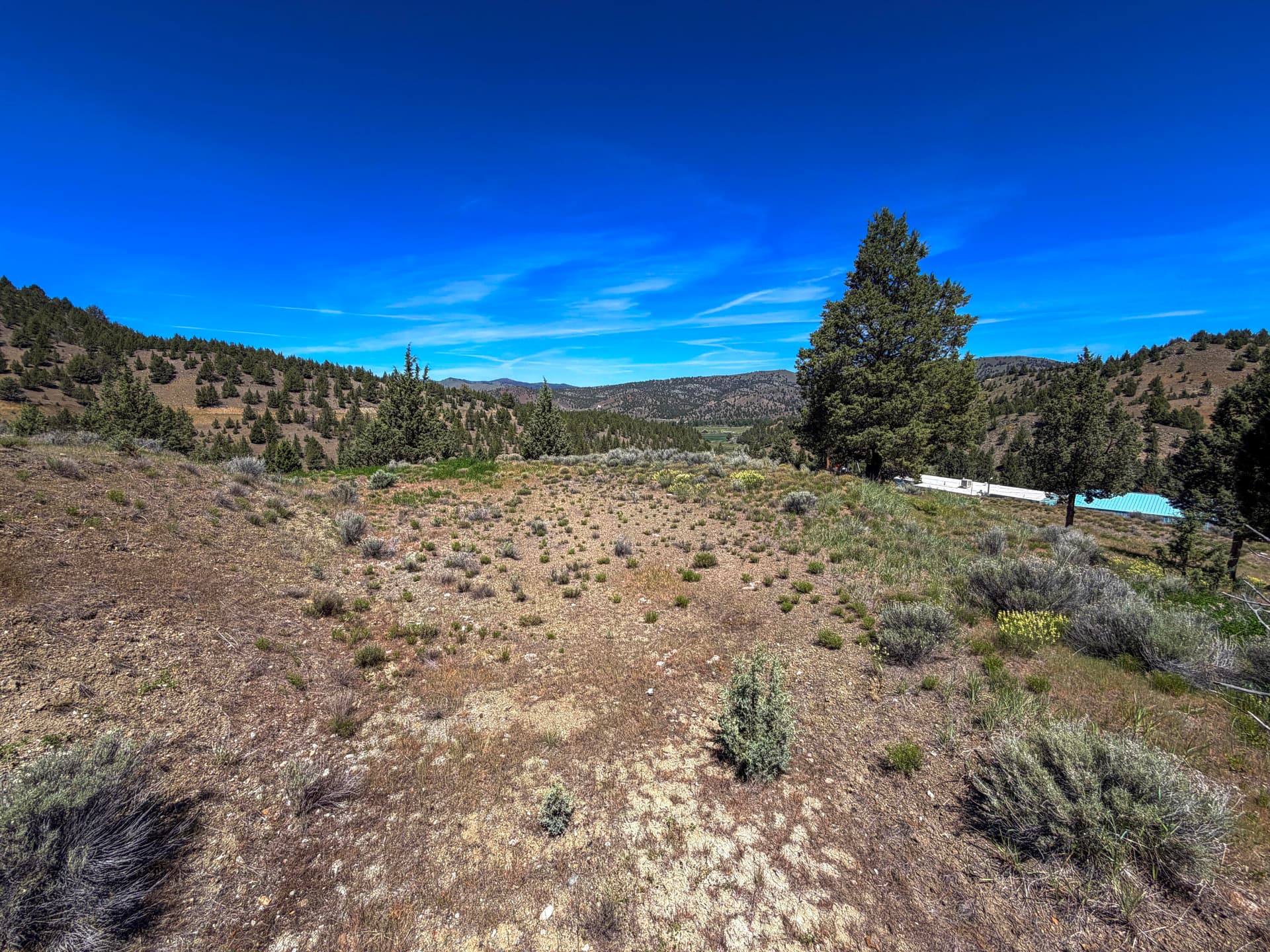 18-IMG_6770. Photo 2 of 19, Luce Creek Road, John Day, OR 97845