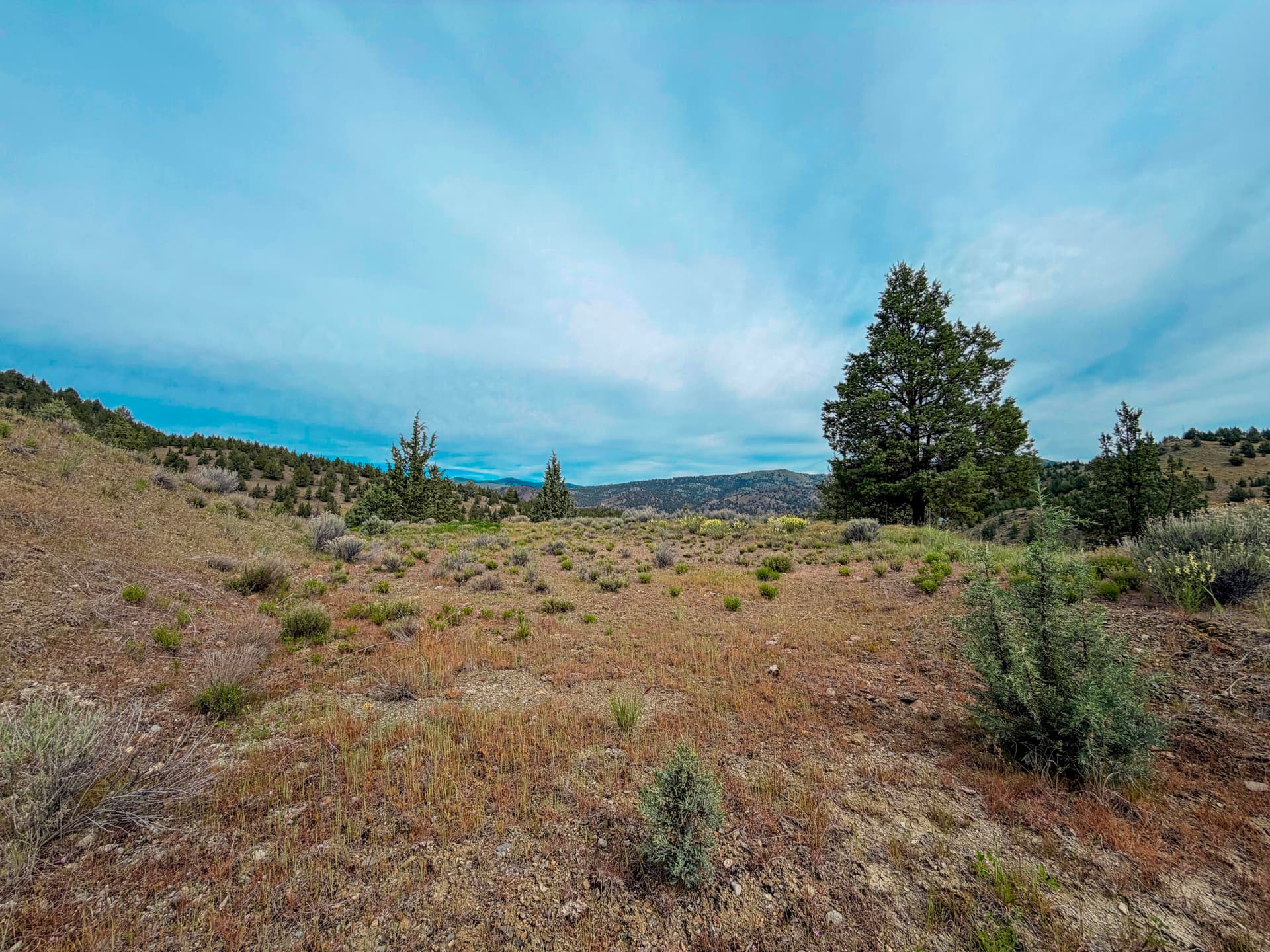 IMG_6689. Photo 1 of 19, Luce Creek Road, John Day, OR 97845