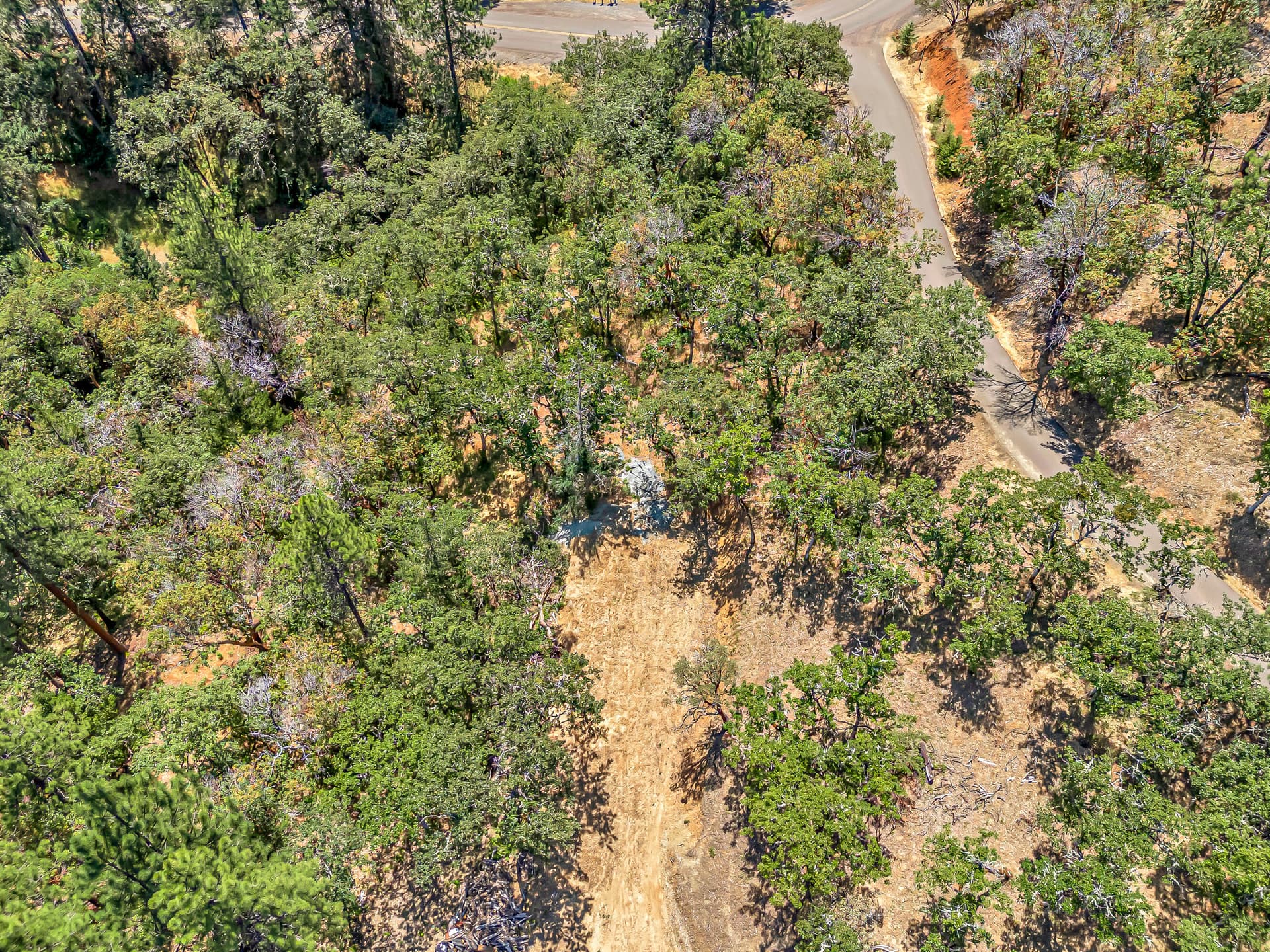 DJI_20250707132858_0073_D copy. Photo 3 of 22, 254 Juanita Way, Jacksonville, OR 97530