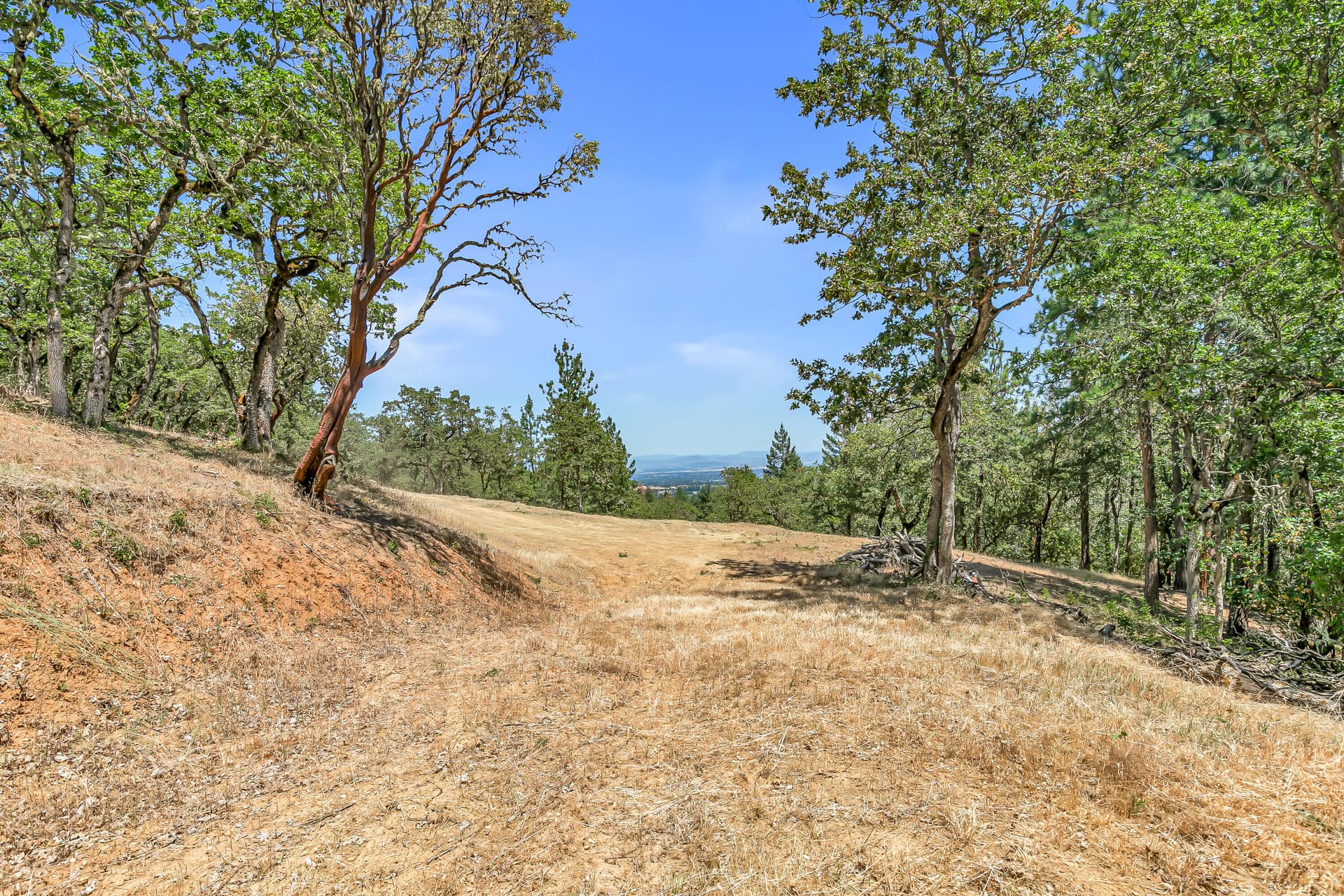 9R9A2075. Photo 4 of 22, 254 Juanita Way, Jacksonville, OR 97530