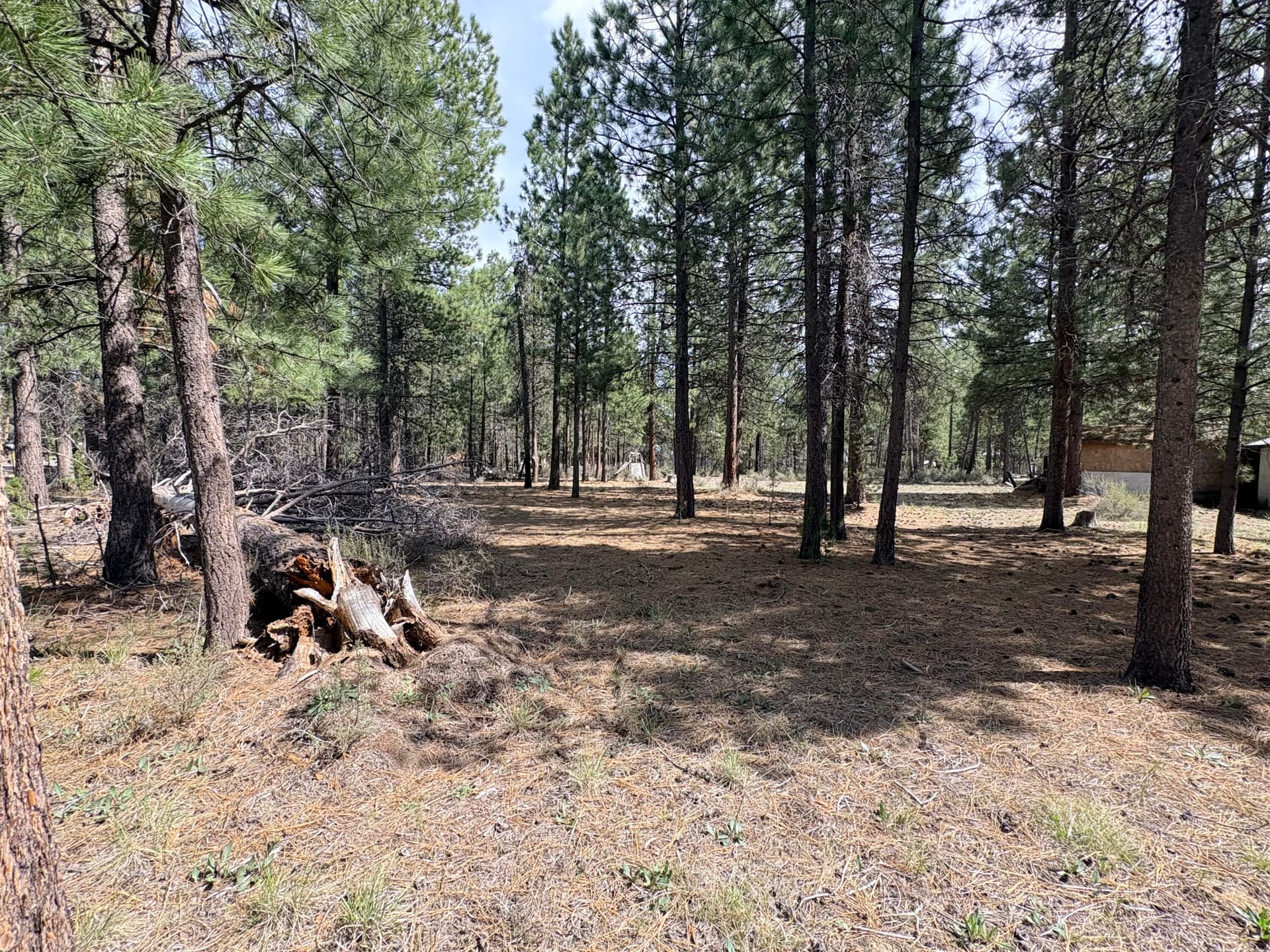 IMG_8269. Photo 5 of 13, 1548 Cheryl Drive, La Pine, OR 97739