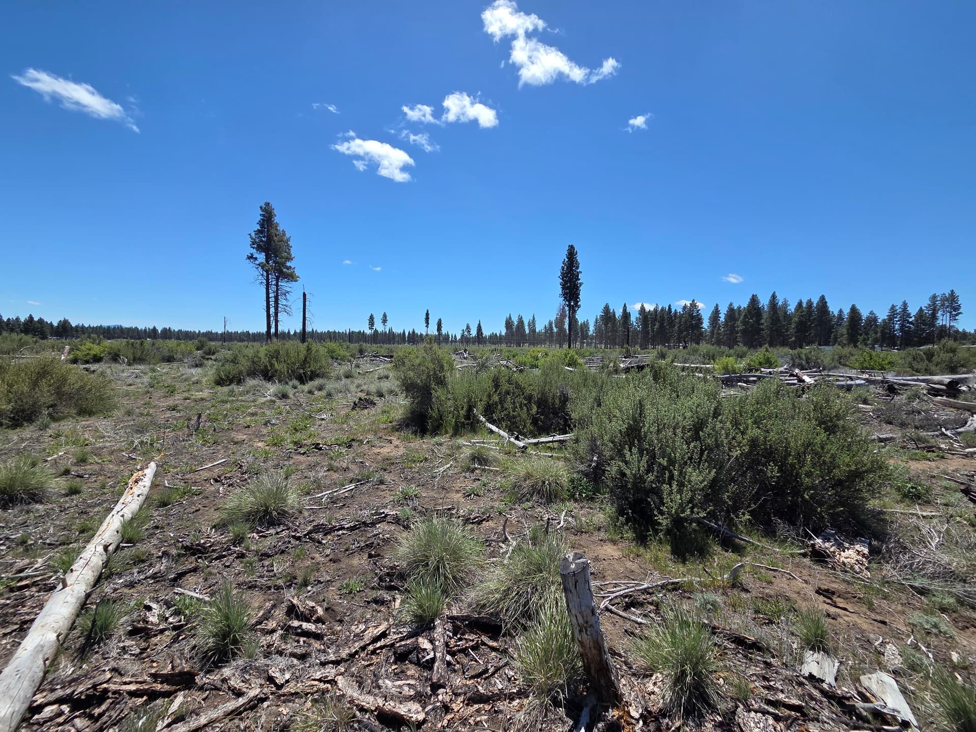 Lot. Photo 1 of 13, 0 Mountain Quail Lane Unit Lot 9, Chiloquin, OR 97624