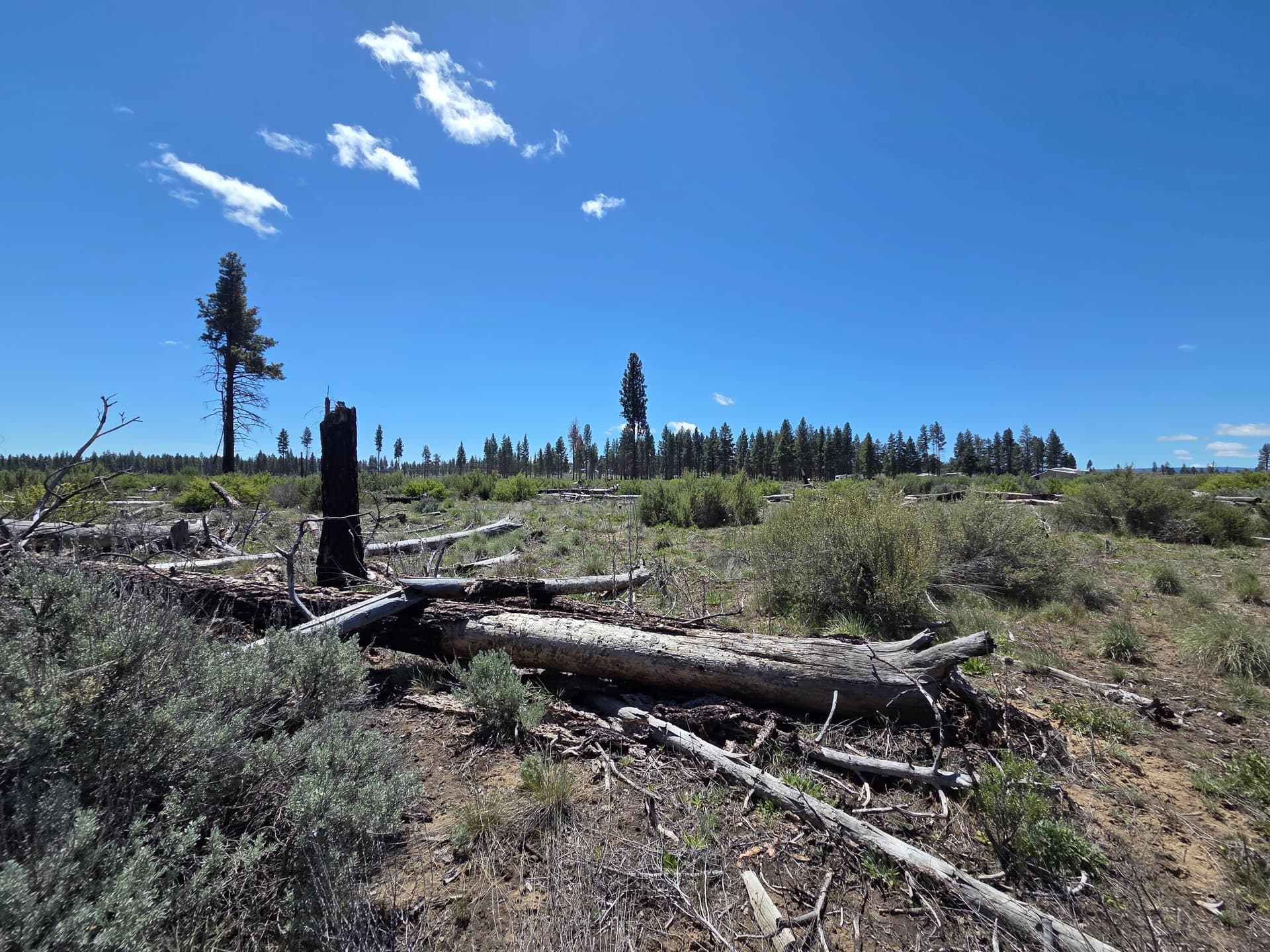 Lot. Photo 2 of 13, 0 Mountain Quail Lane Unit Lot 9, Chiloquin, OR 97624