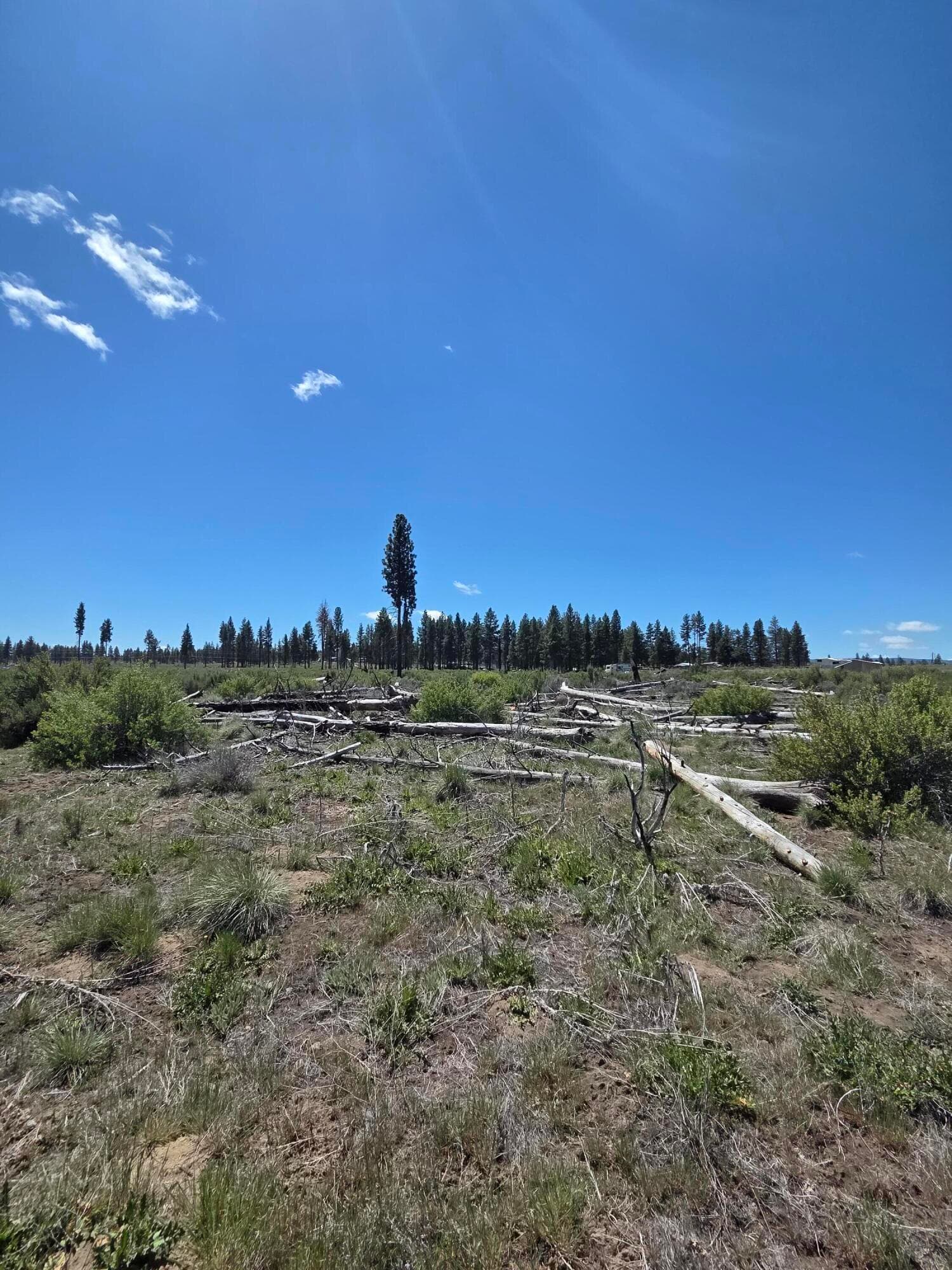 Lot. Photo 3 of 13, 0 Mountain Quail Lane Unit Lot 9, Chiloquin, OR 97624