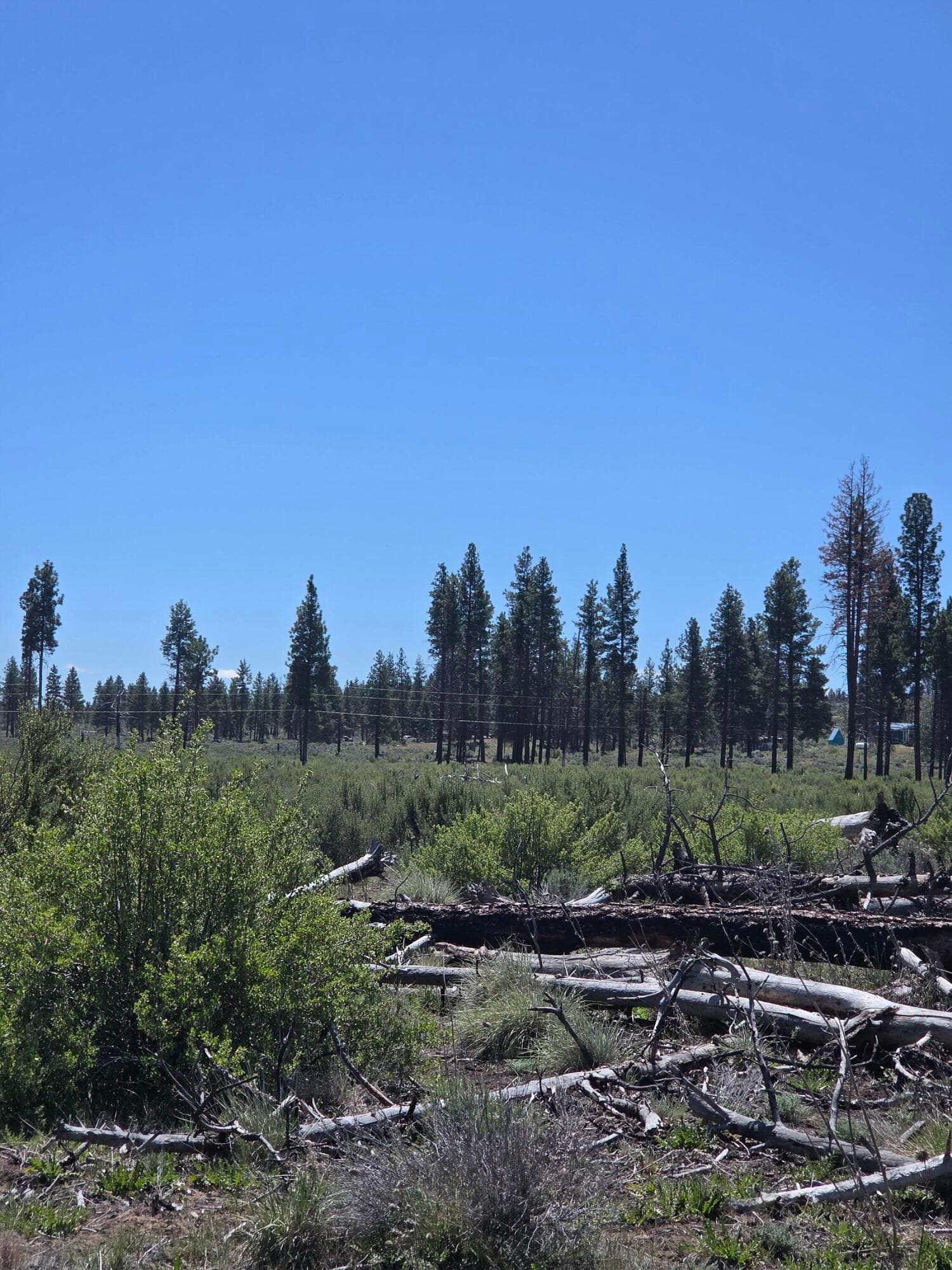 Lot. Photo 4 of 13, 0 Mountain Quail Lane Unit Lot 9, Chiloquin, OR 97624