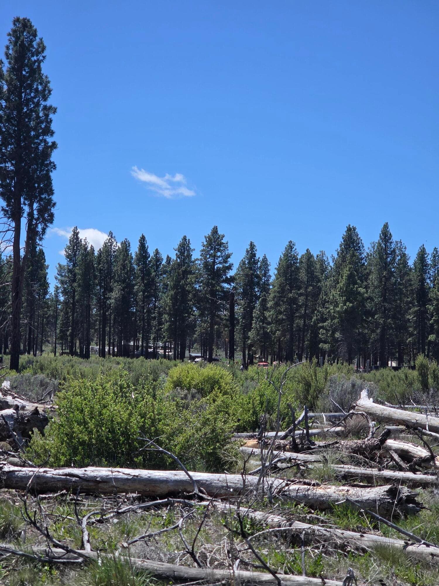 Lot. Photo 5 of 13, 0 Mountain Quail Lane Unit Lot 9, Chiloquin, OR 97624