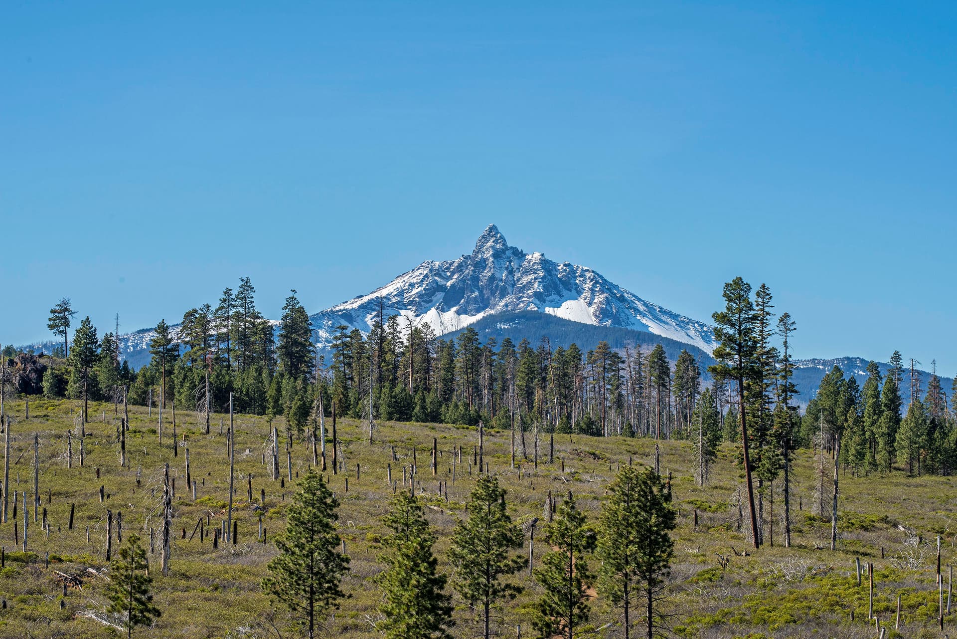 Your front porch view!. Photo 1 of 30, 70390 McAllister Road Unit Parcel 1, Sisters, OR 97759