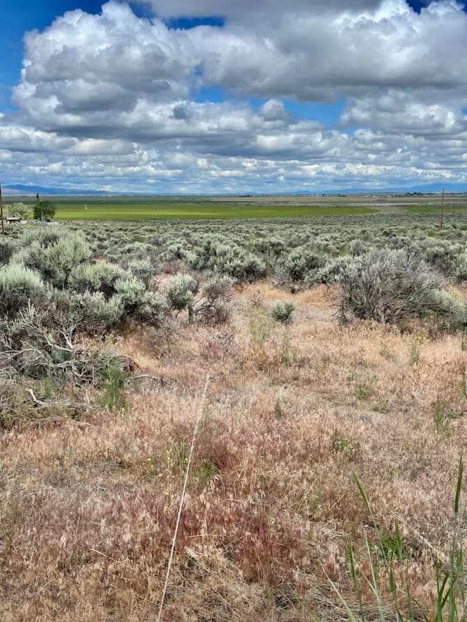 2. Photo 5 of 6, 0 Chinook Road Unit 00200, Christmas Valley, OR 97641