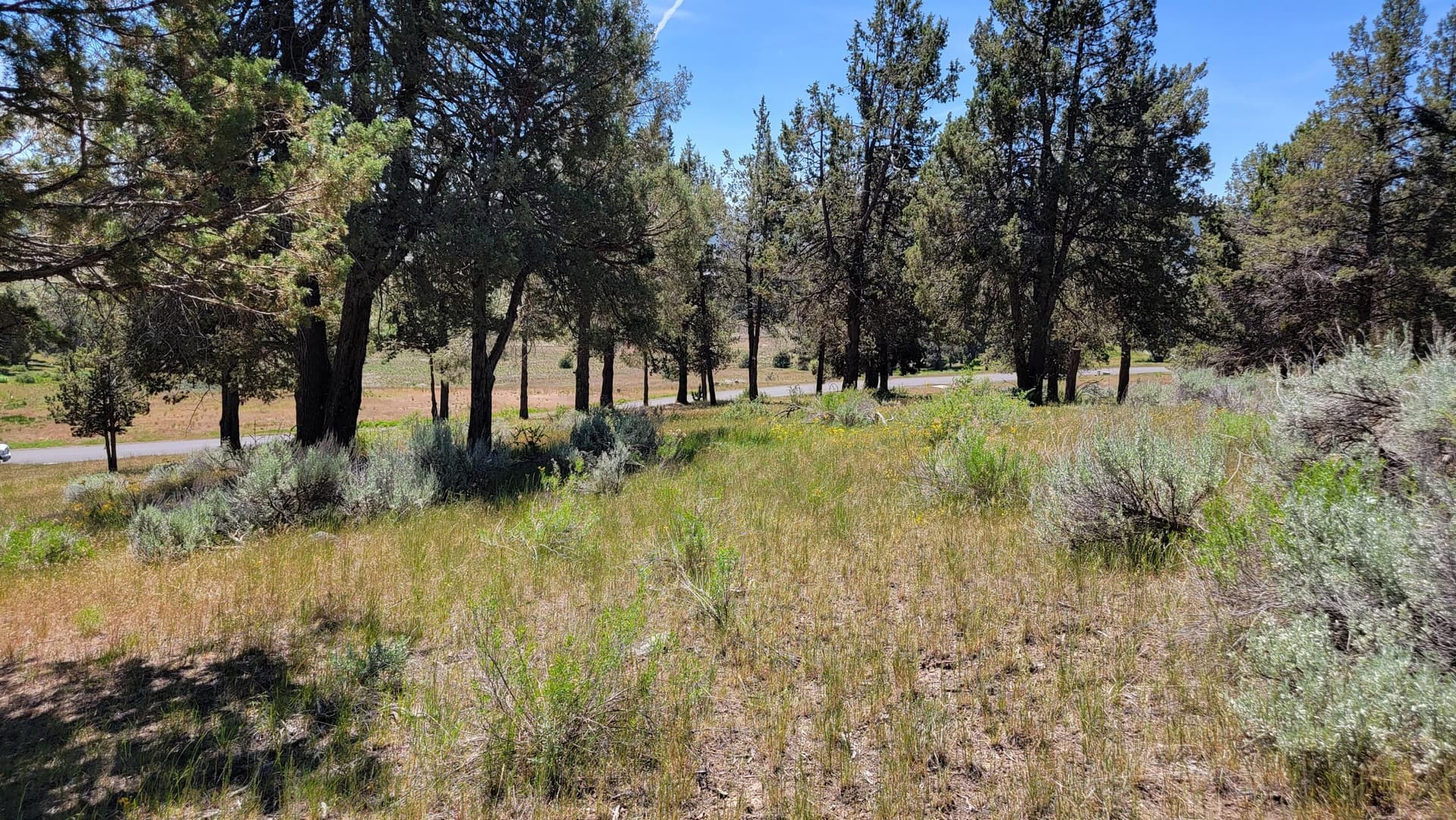 20260511_122744_resized_1. Photo 2 of 9, 0 Murrelet Road Unit Lot 1196, Klamath Falls, OR 97601