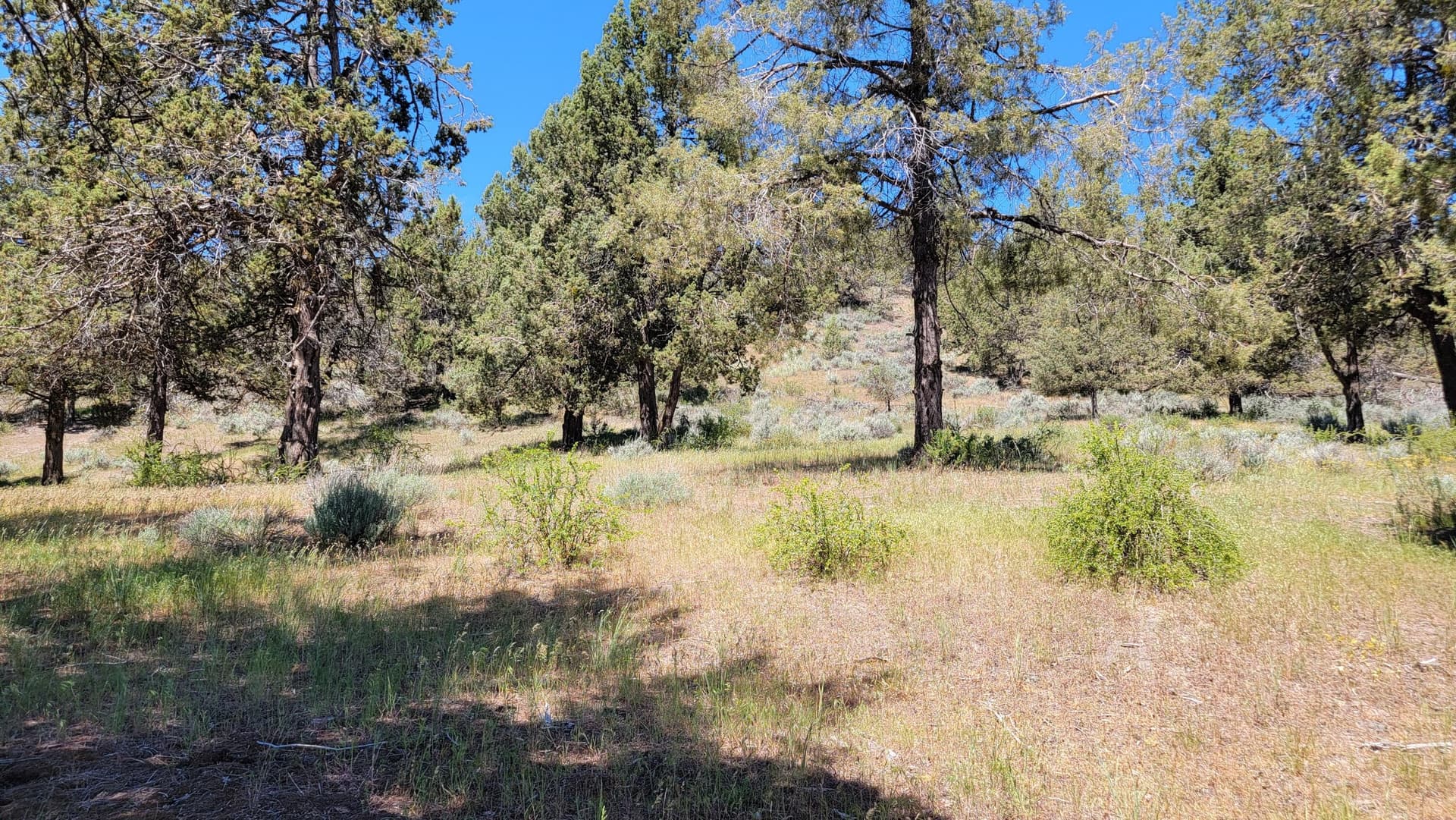 20260511_122552_resized. Photo 3 of 9, 0 Murrelet Road Unit Lot 1196, Klamath Falls, OR 97601