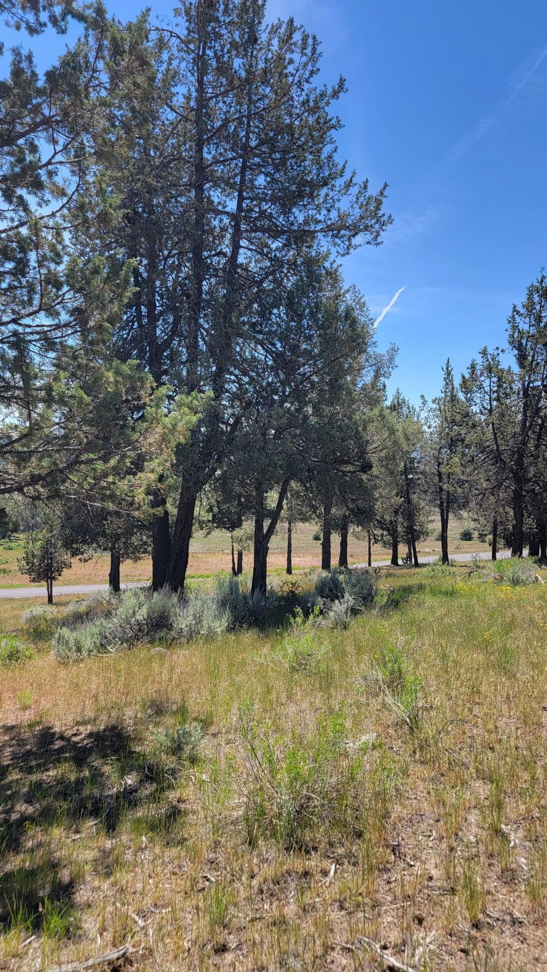 20260511_122740_resized. Photo 5 of 9, 0 Murrelet Road Unit Lot 1196, Klamath Falls, OR 97601