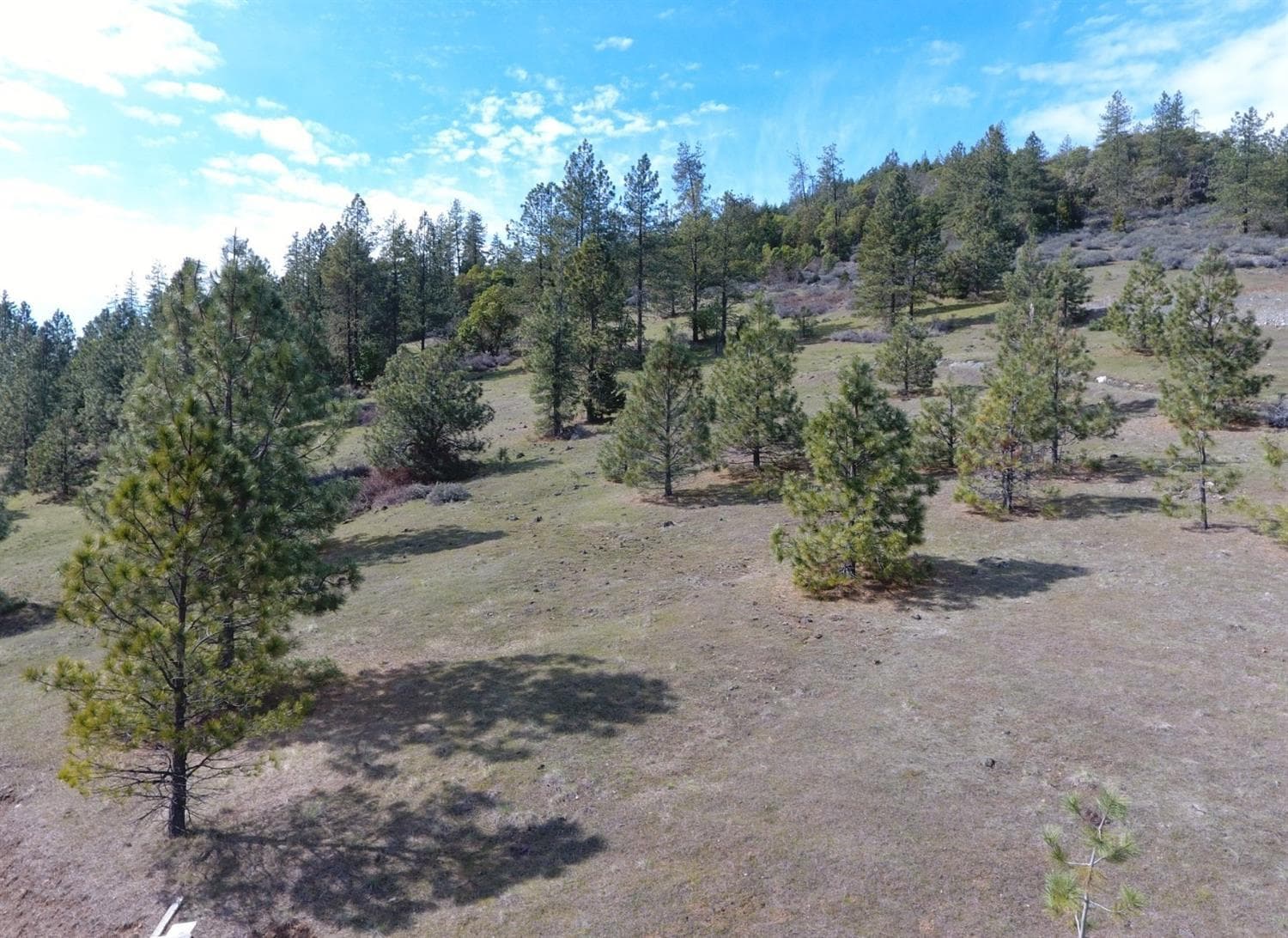 Primary Photo. Photo 1 of 17, 420 Tycer Crossing, Cave Junction, OR 97523