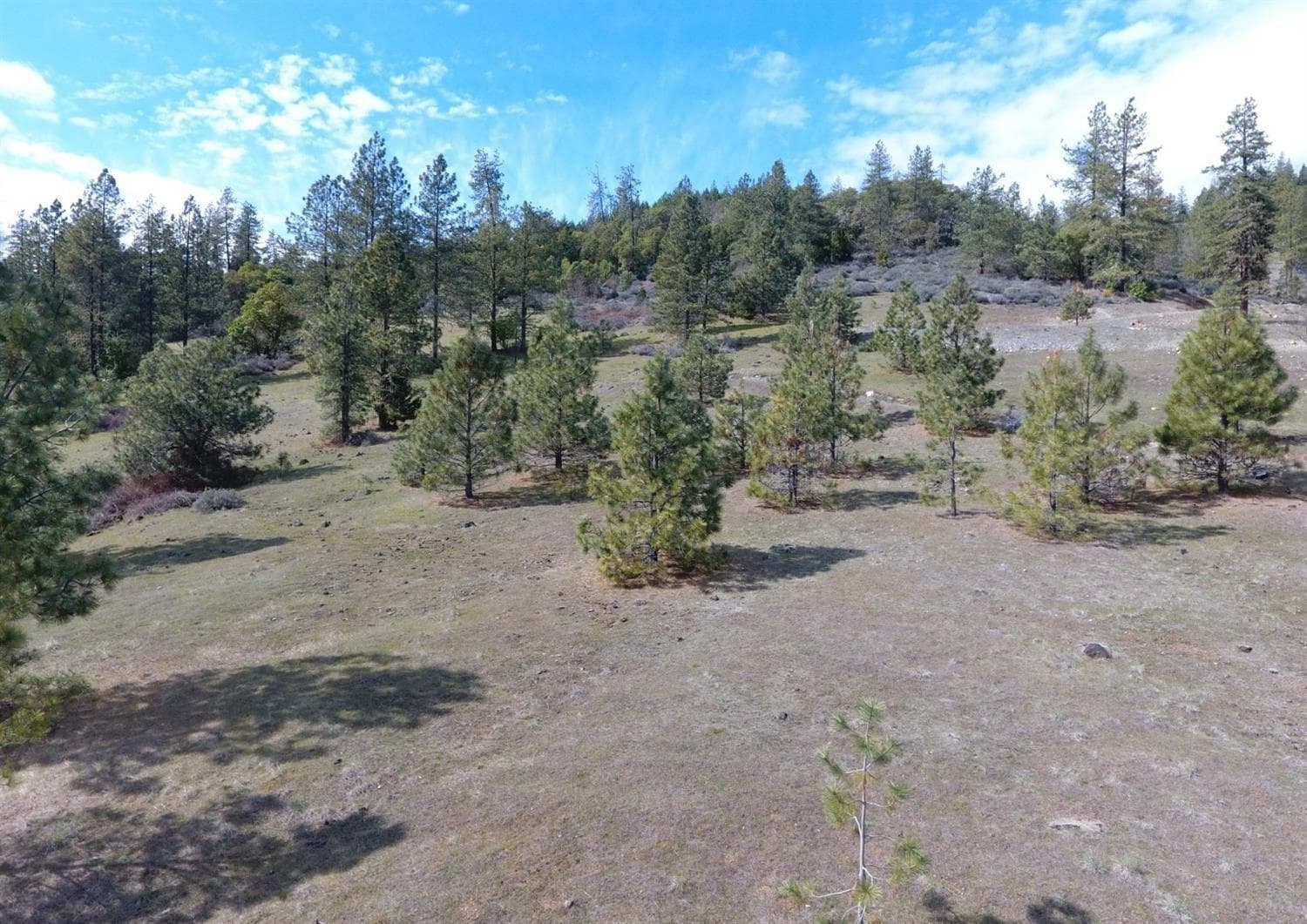 Additional Photo. Photo 2 of 17, 420 Tycer Crossing, Cave Junction, OR 97523