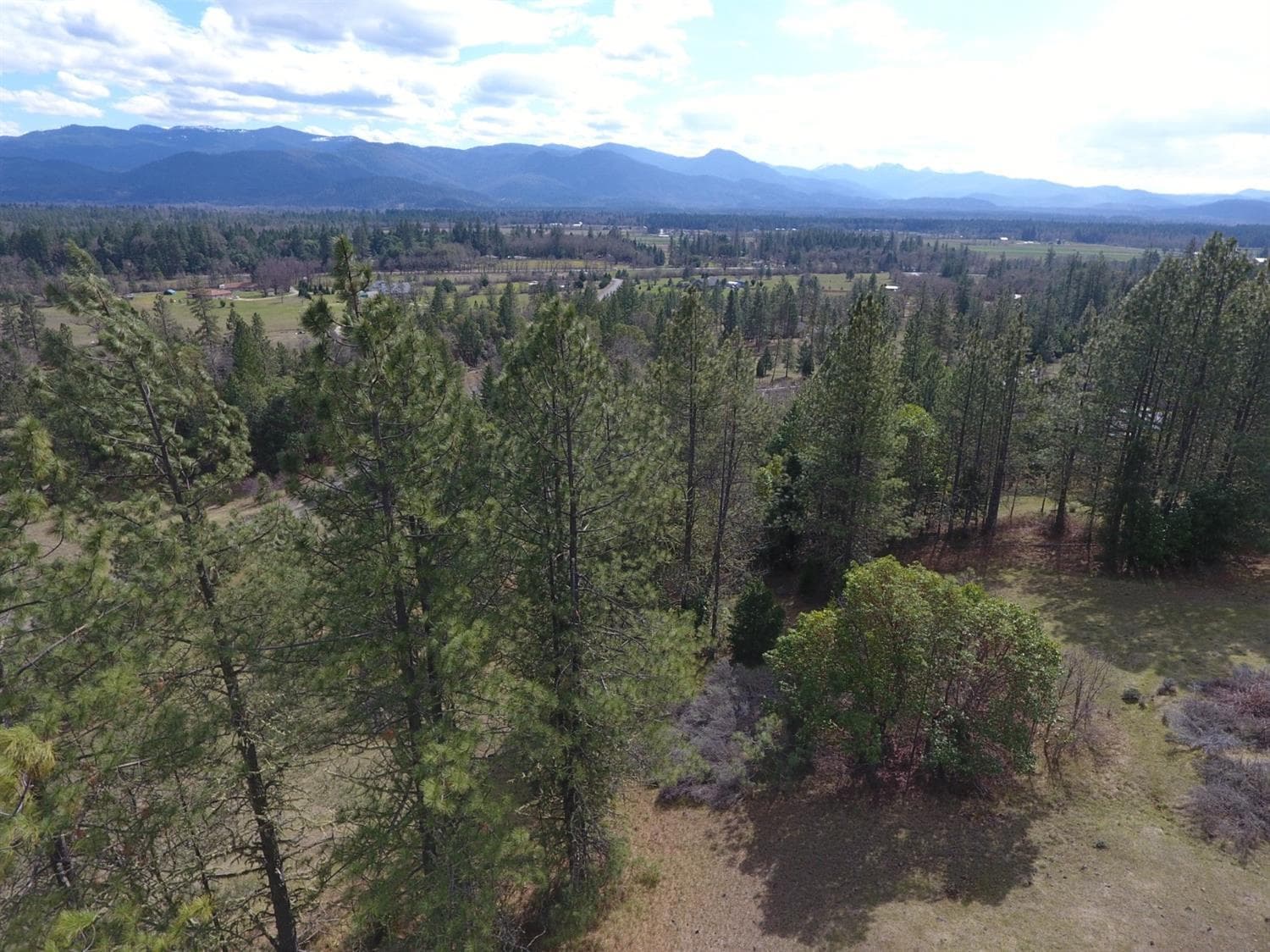 Additional Photo. Photo 4 of 17, 420 Tycer Crossing, Cave Junction, OR 97523