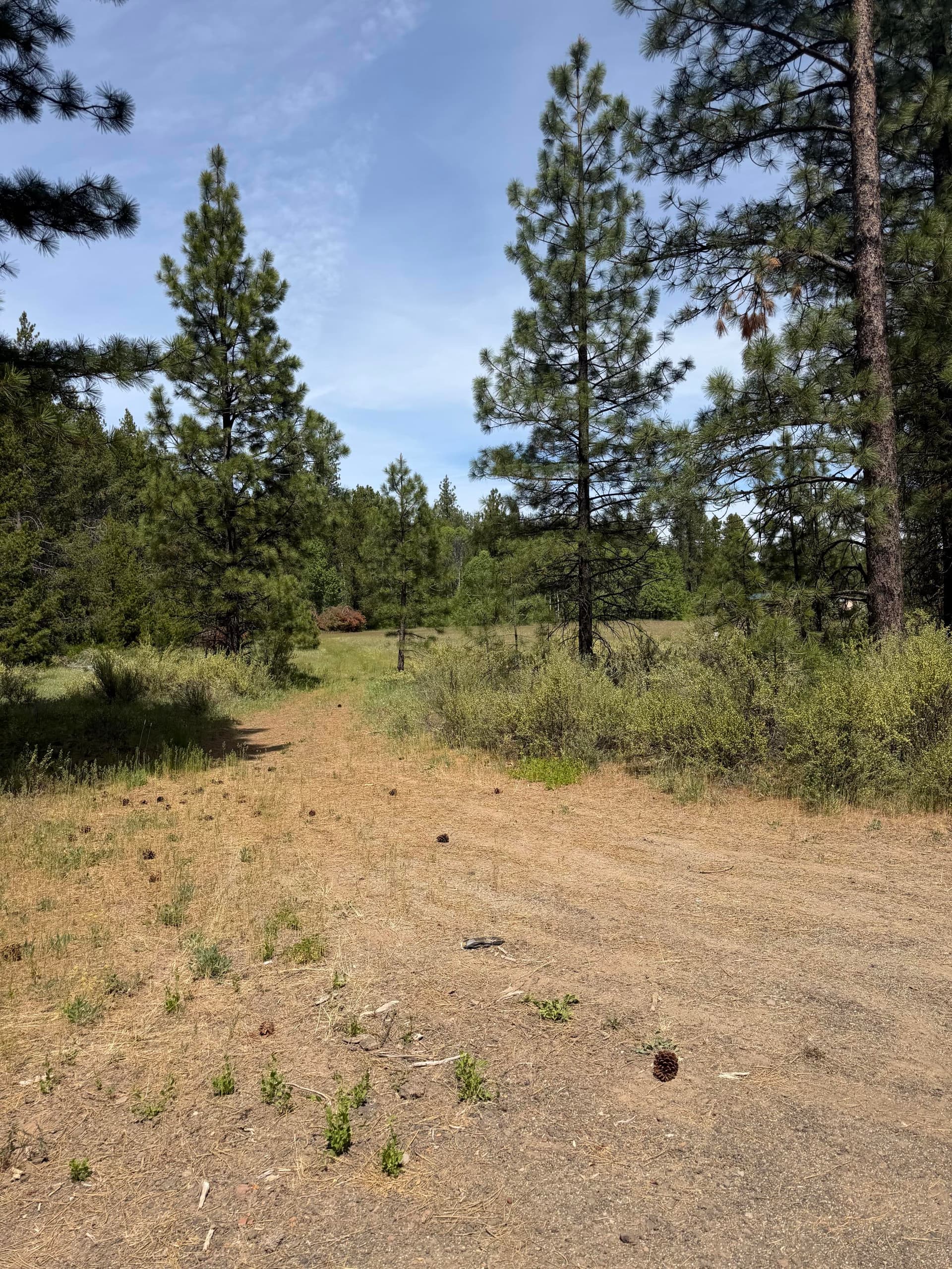 Lot 197-198. Photo 1 of 1, 0 N St. Unit Lot 197-198, Klamath Falls, OR 97601